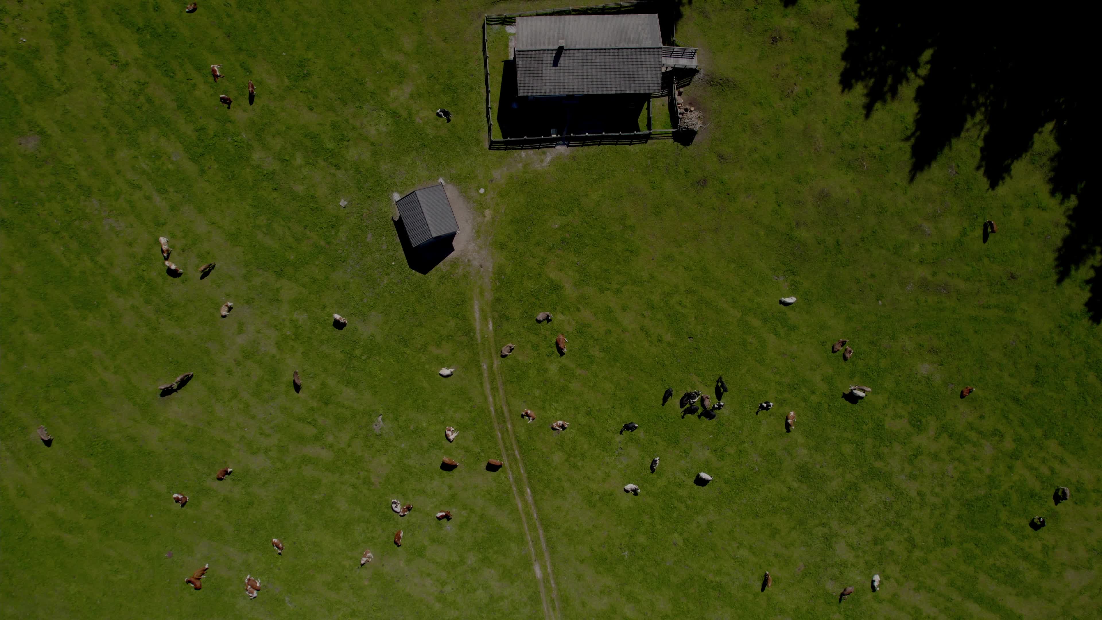 Drone View Of Italian Alps