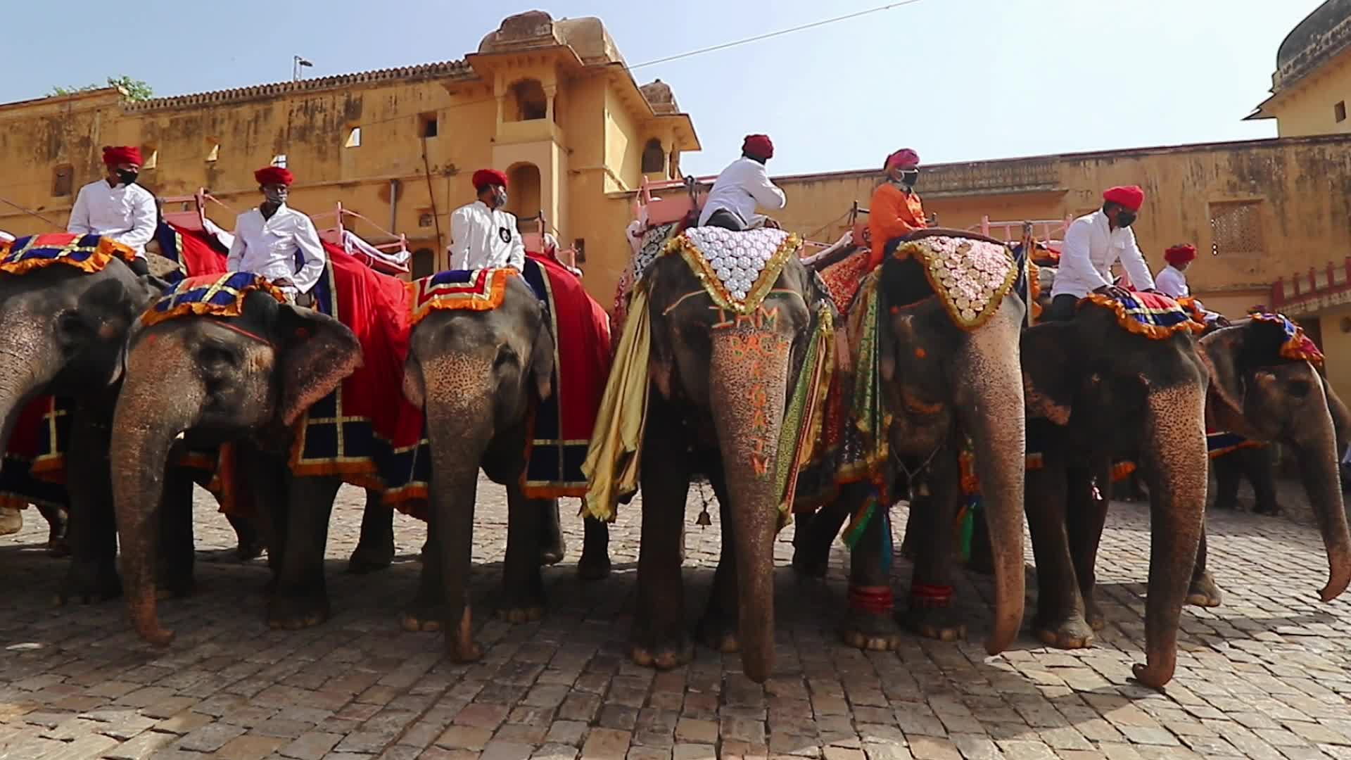 Monuments Reopen In Jaipur -Amer Fort 