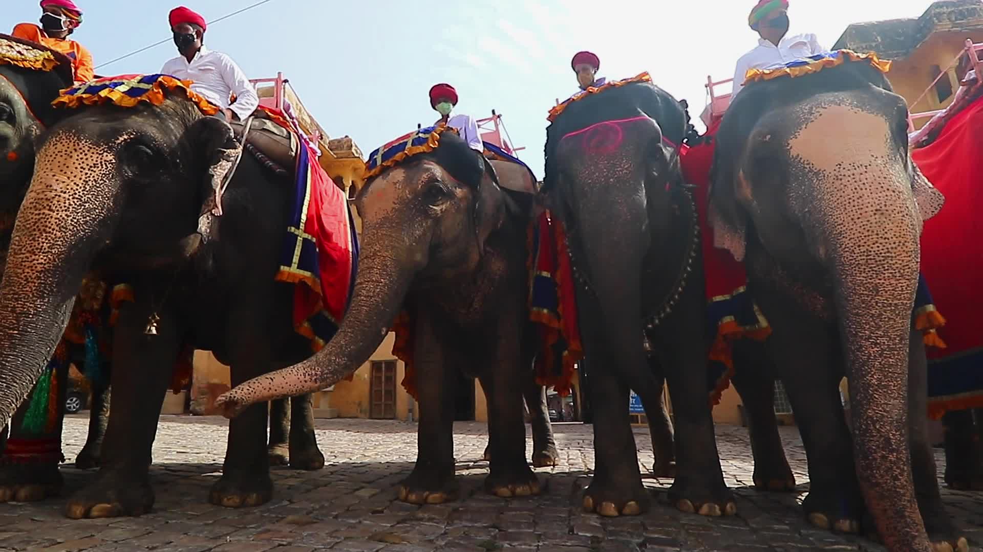 Monuments Reopen In Jaipur -Amer Fort 