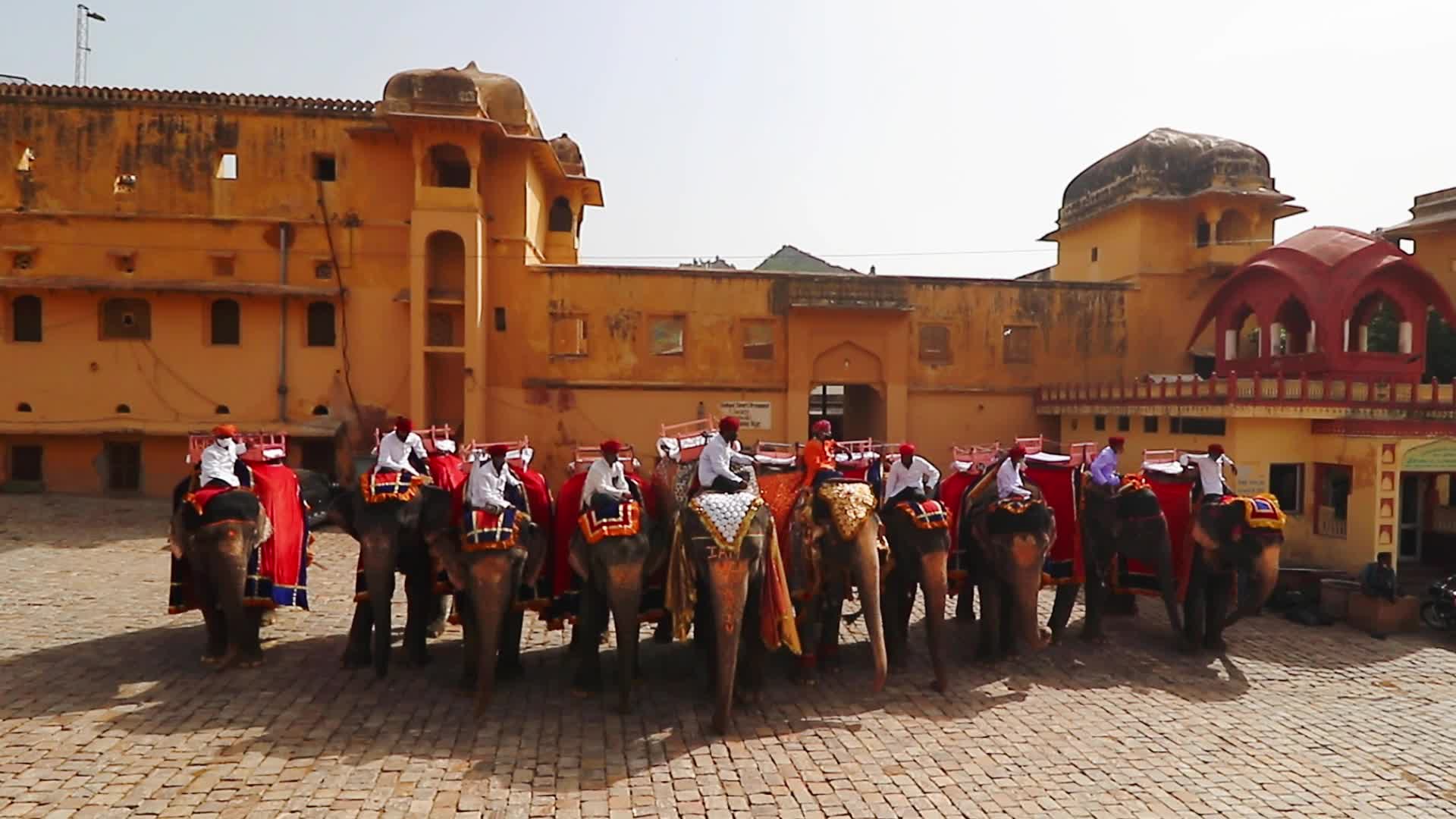 Monuments Reopen In Jaipur -Amer Fort 