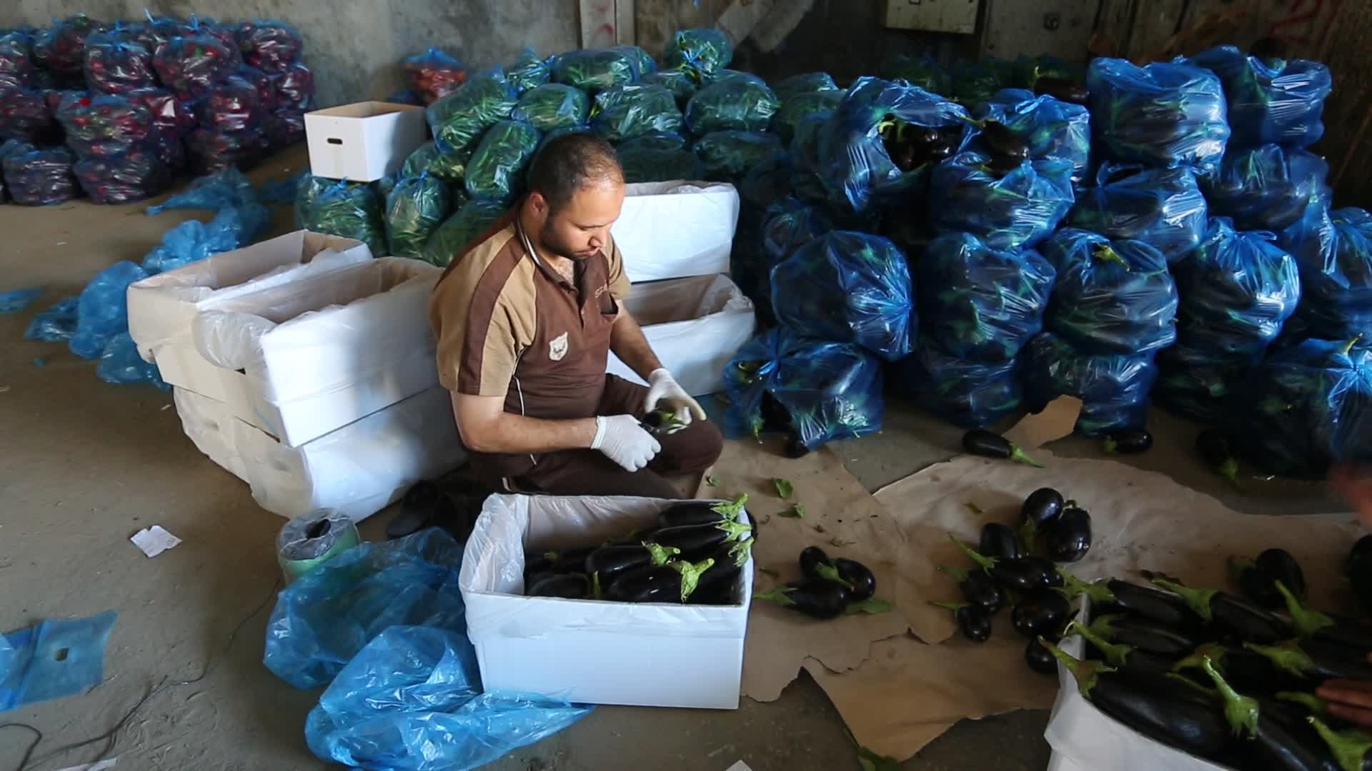 Aftermath of Palestine Israel conflict 