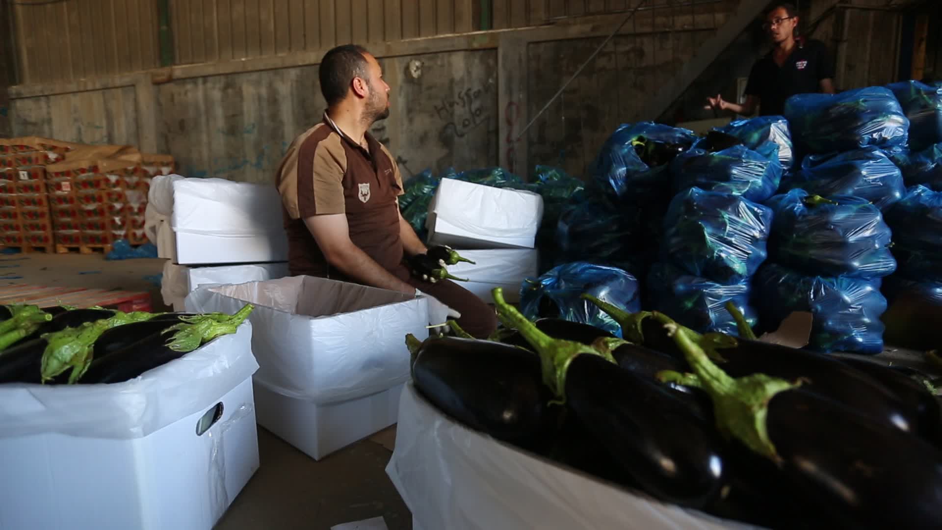 Aftermath of Palestine Israel conflict 