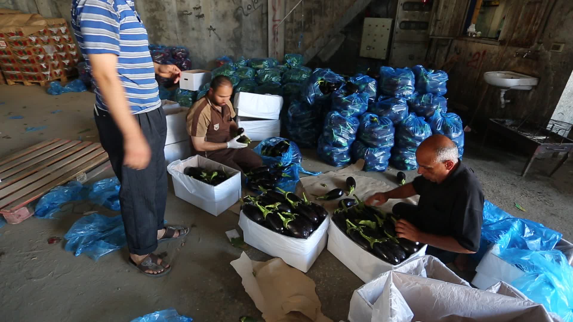 Aftermath of Palestine Israel conflict 
