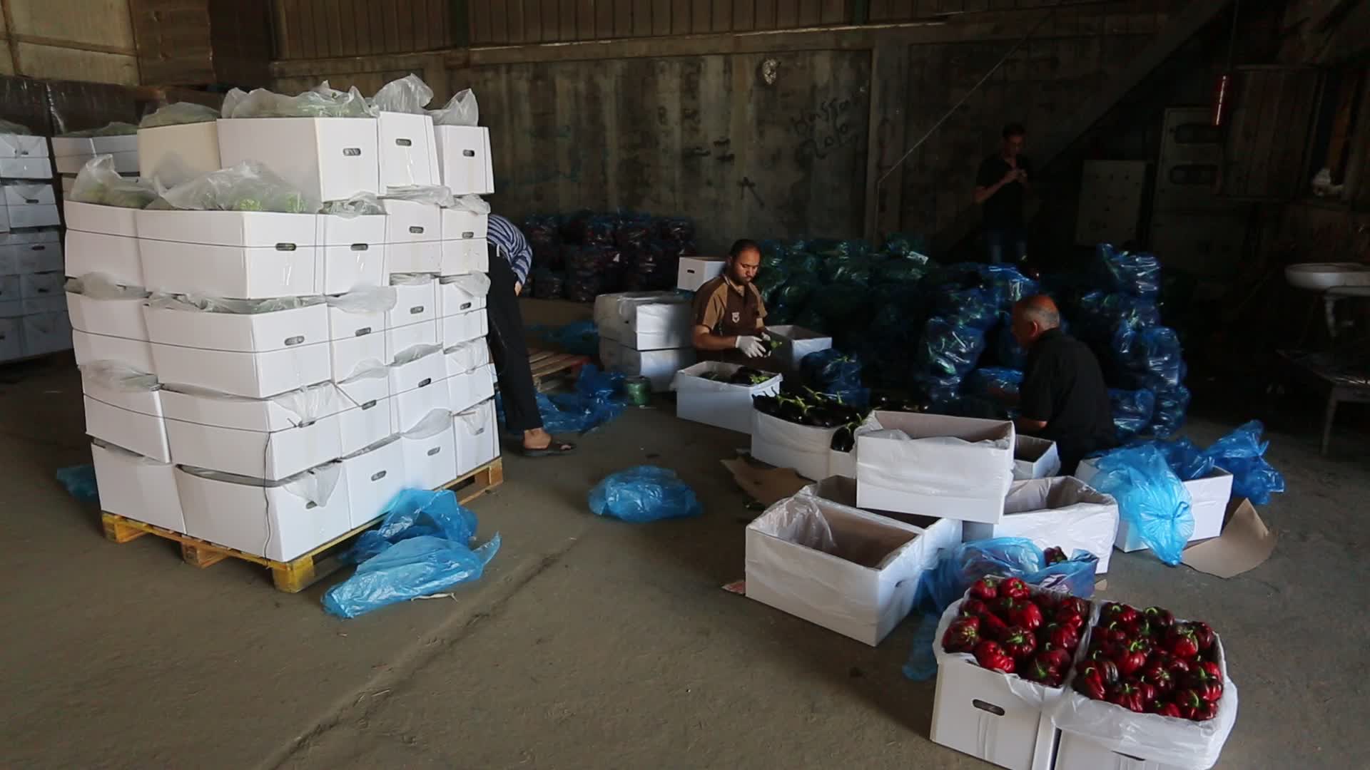 Aftermath of Palestine Israel conflict 