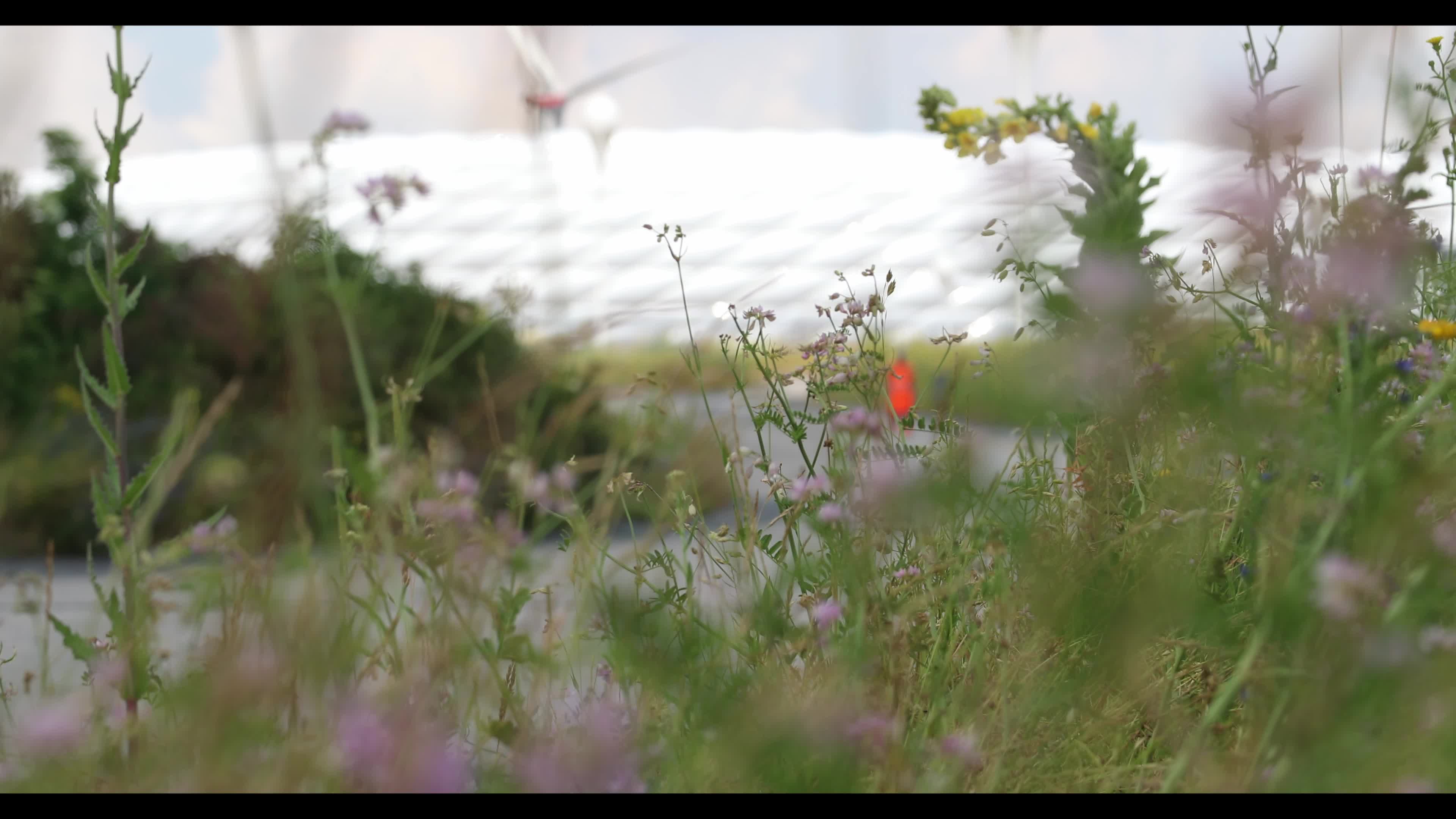 Munich prepares for the Euro 2020 Match Germany – Hungary