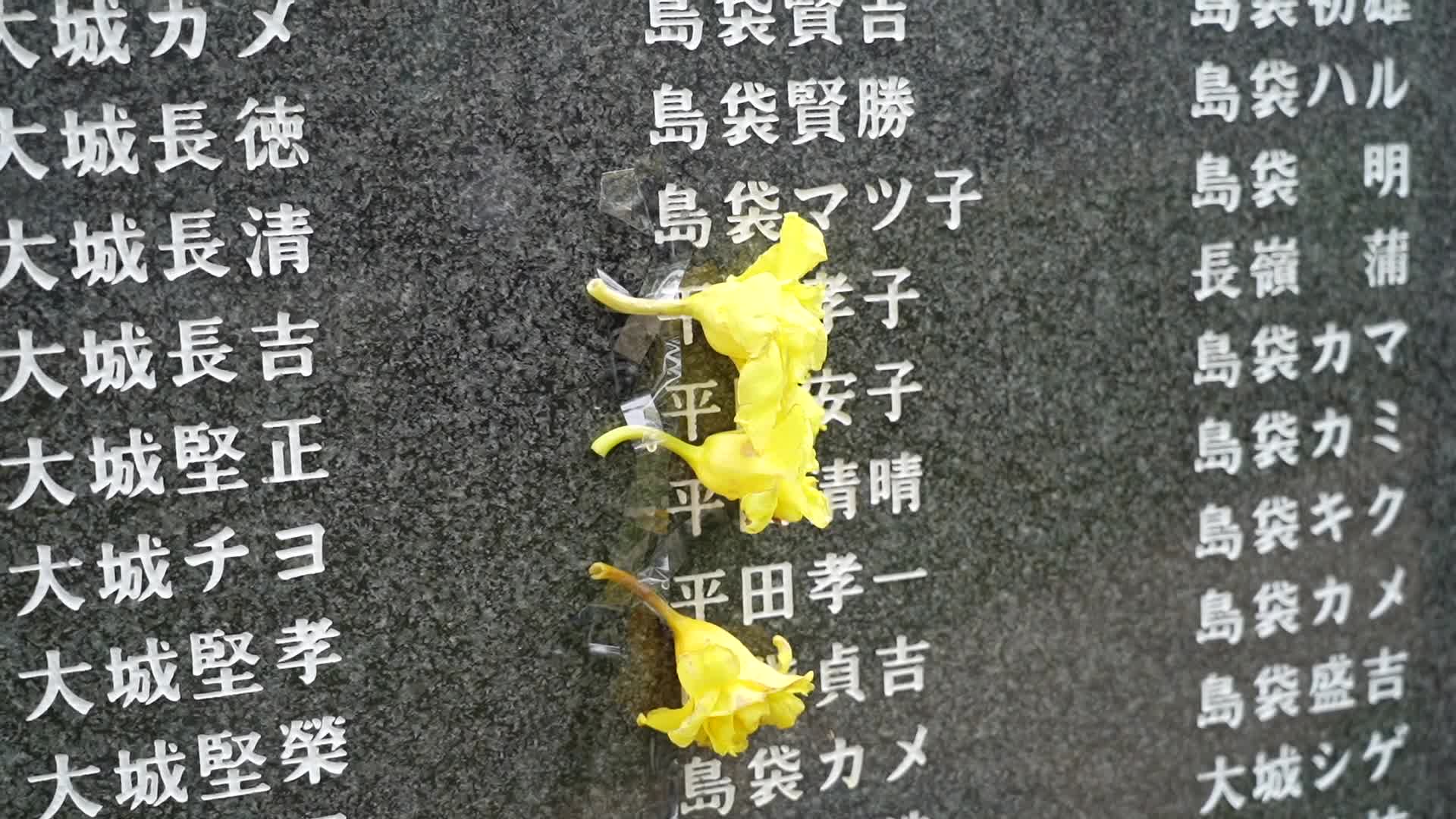 Okinawa's Peace Memorial Day