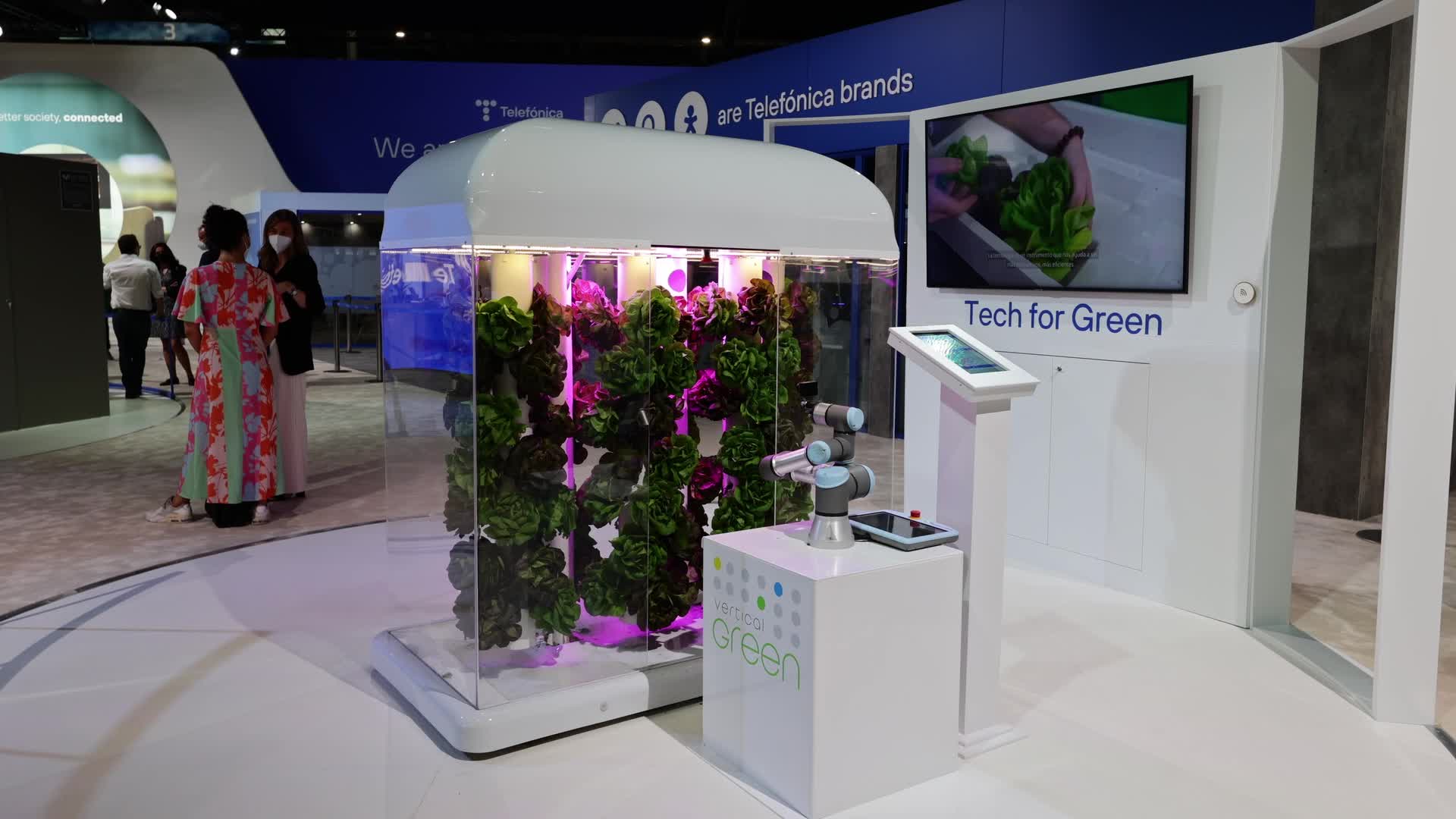 Vertical green garden