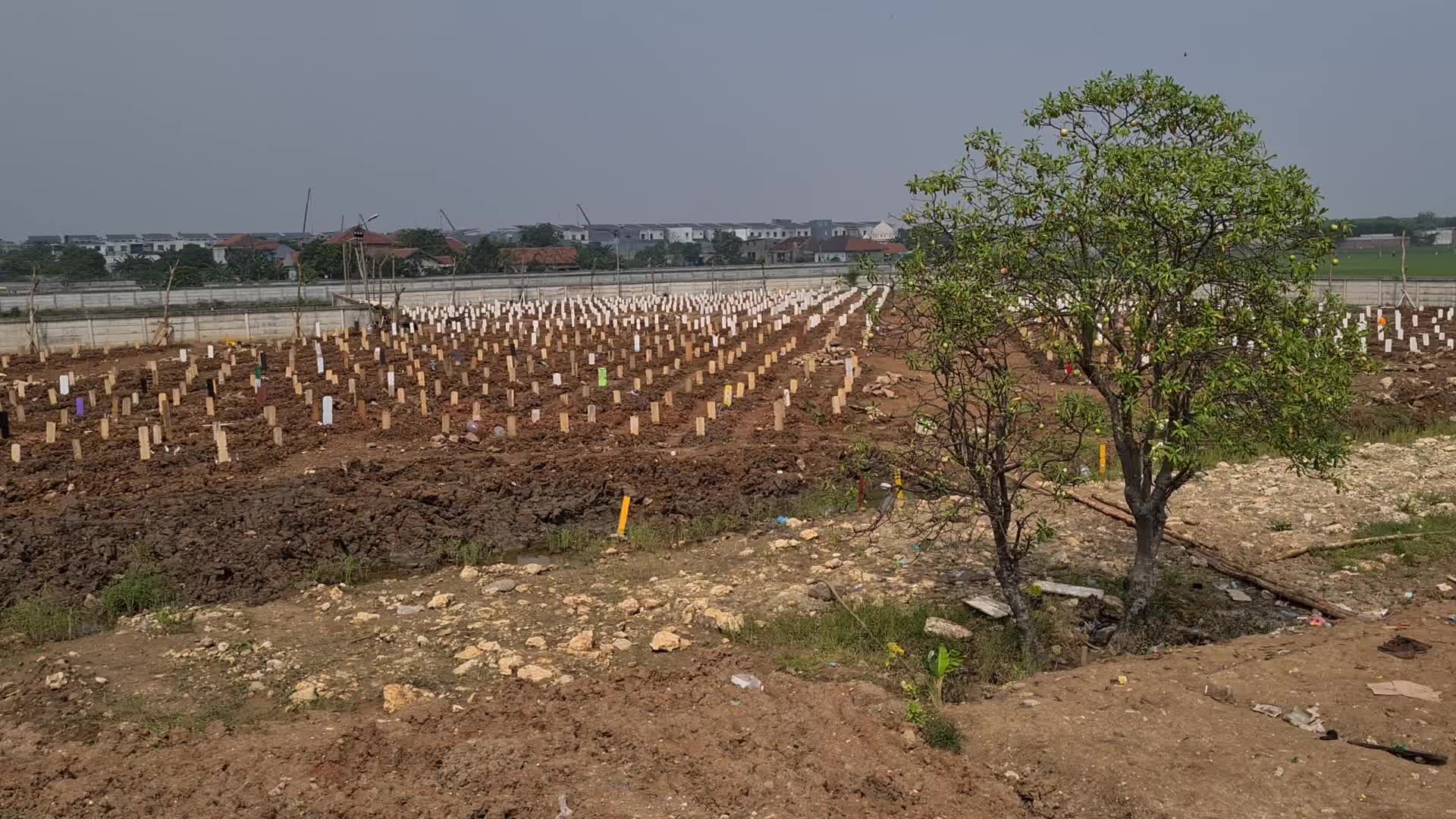 Covid-19 Cemetery in Indonesia