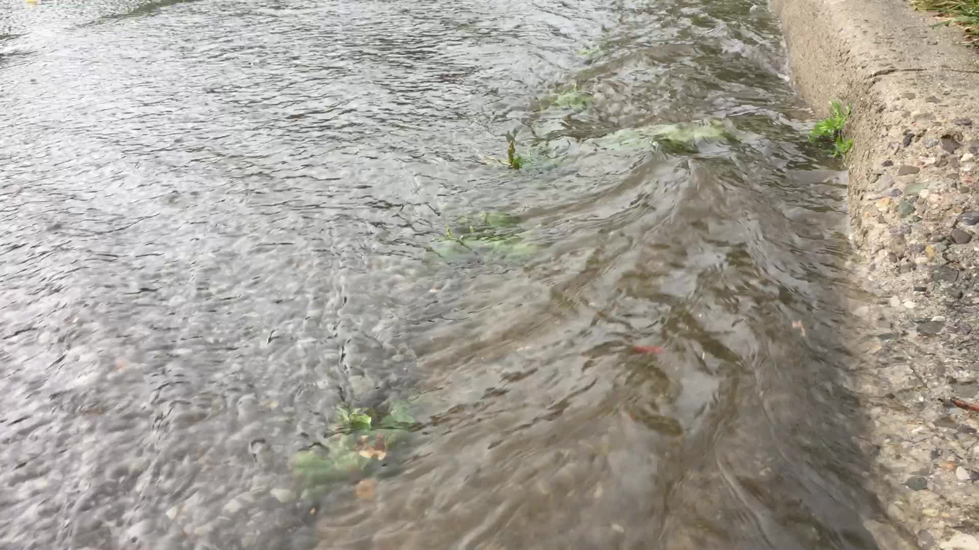 Cluster of severe thunderstorms hit Toronto