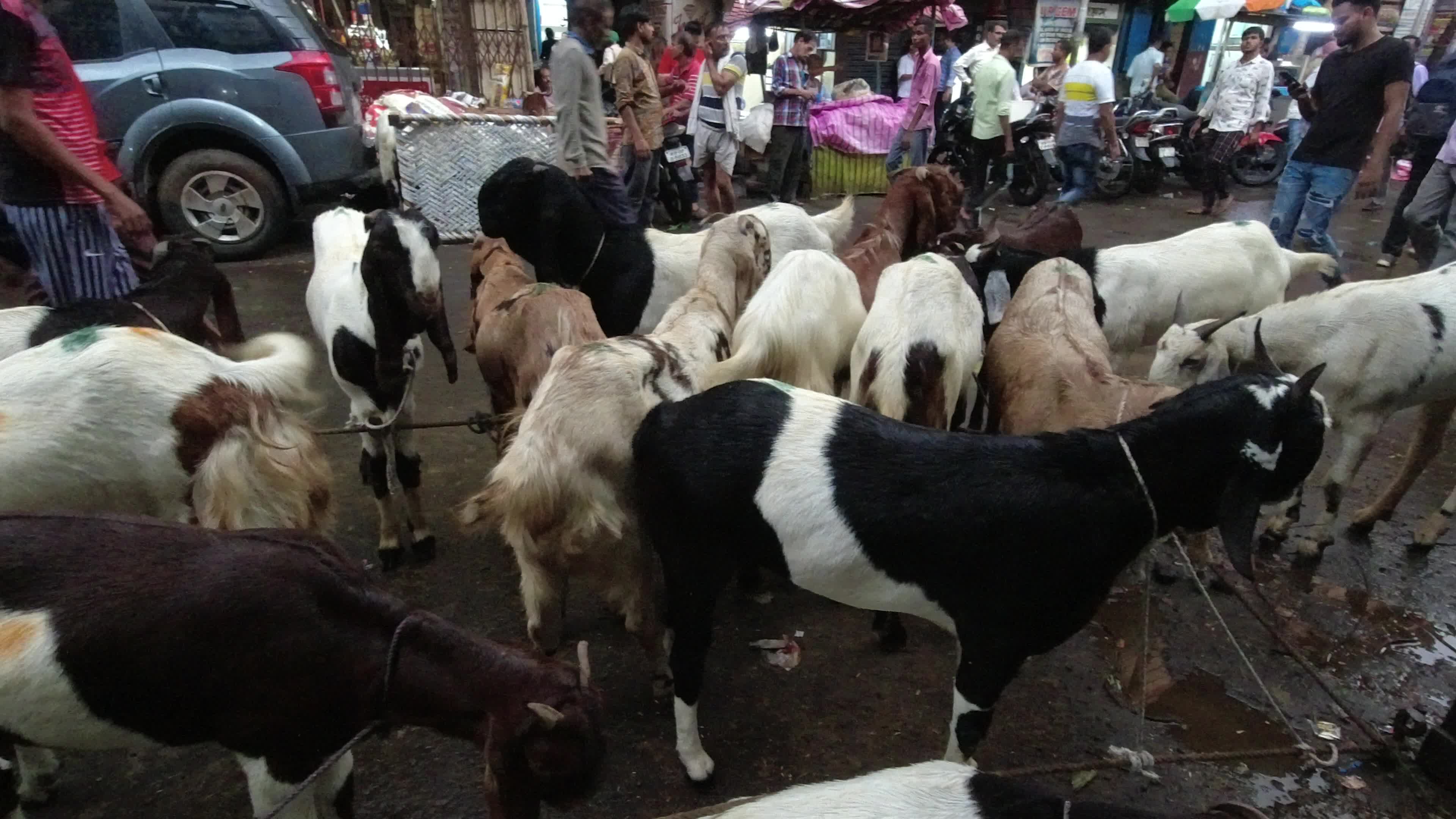 Livestock market ahead of Eid al-Adha celebration in Kolkata
