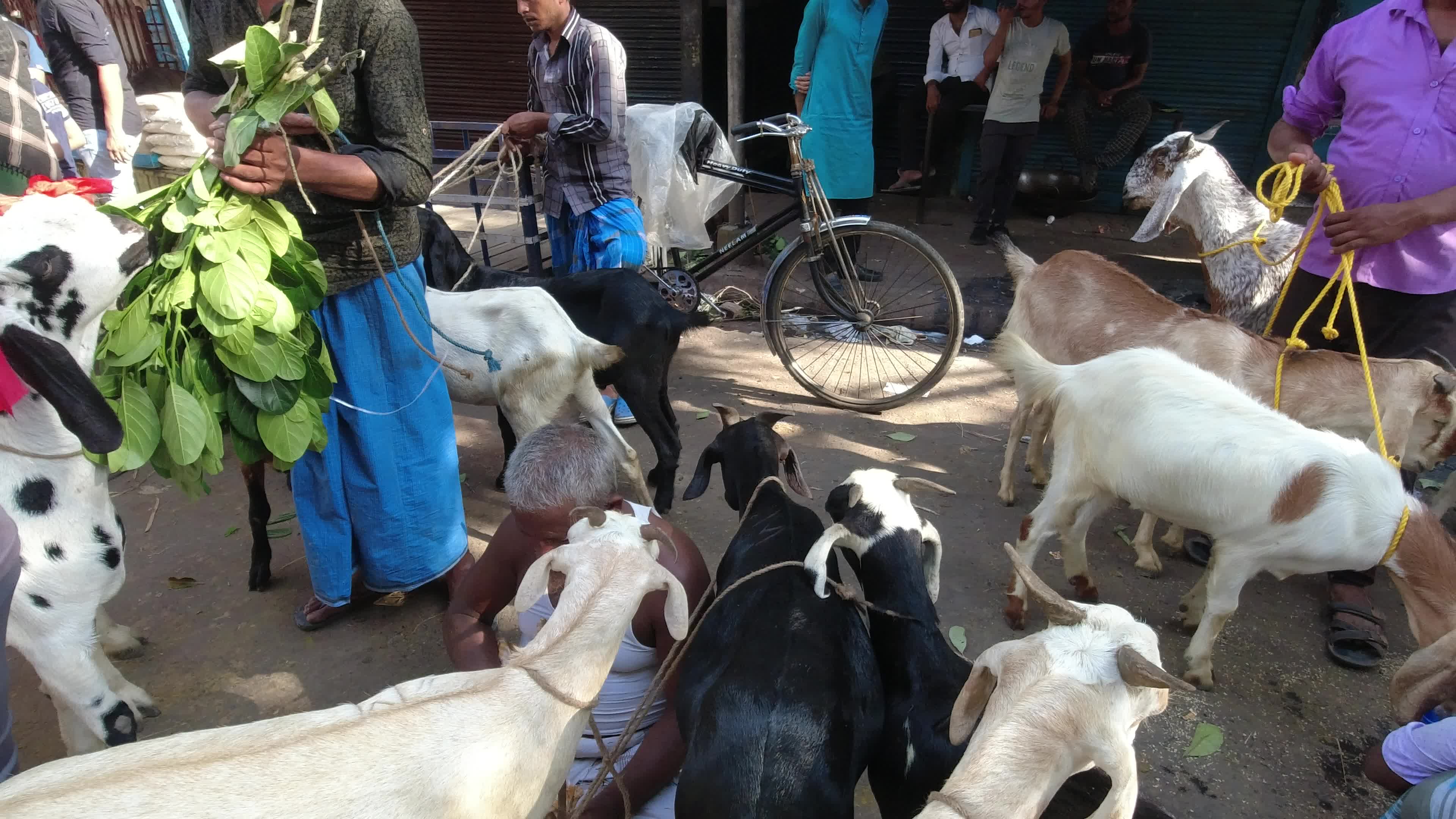 Livestock market ahead of Eid al-Adha in Kolkata