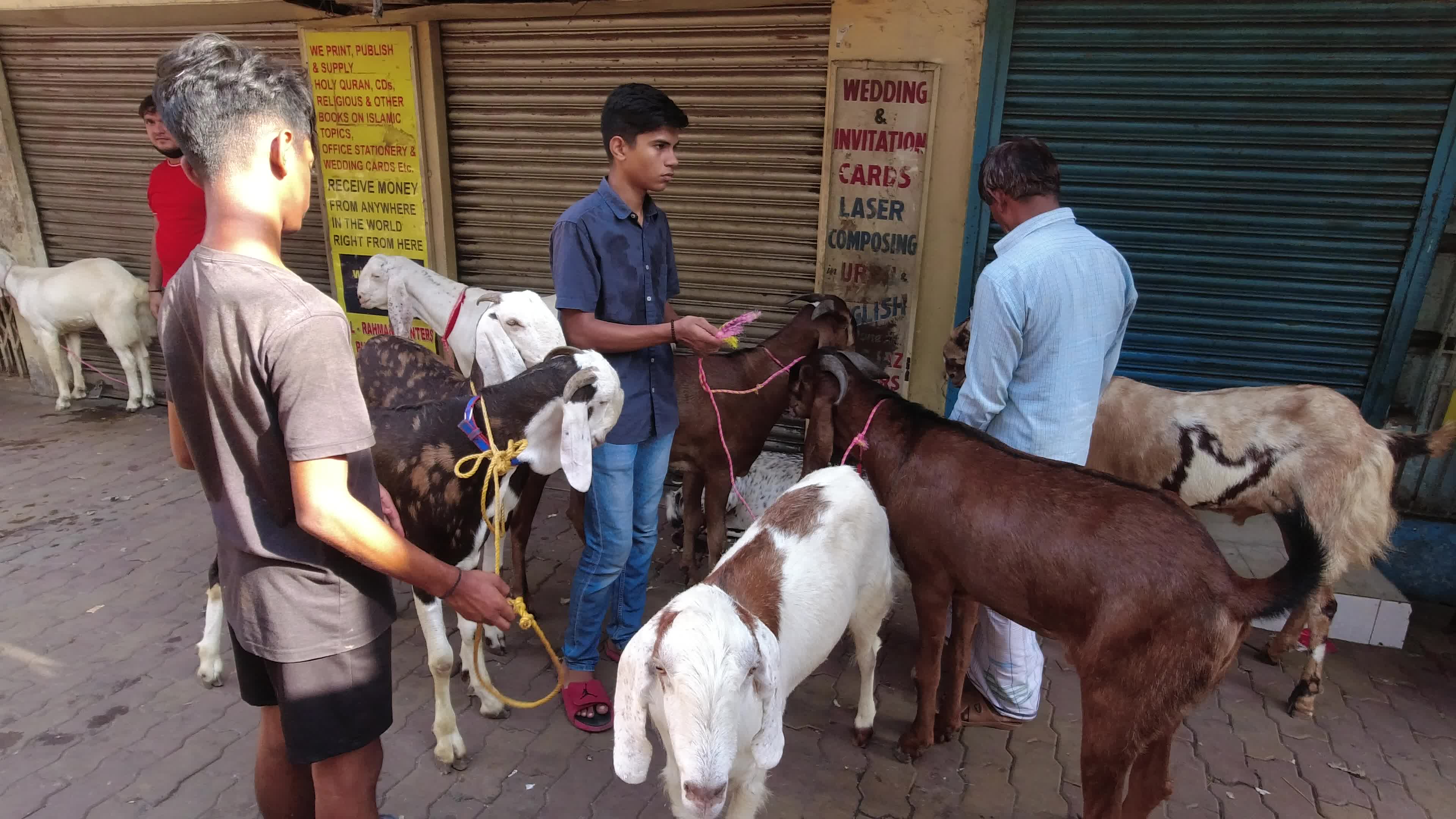 Livestock market ahead of Eid al-Adha in Kolkata
