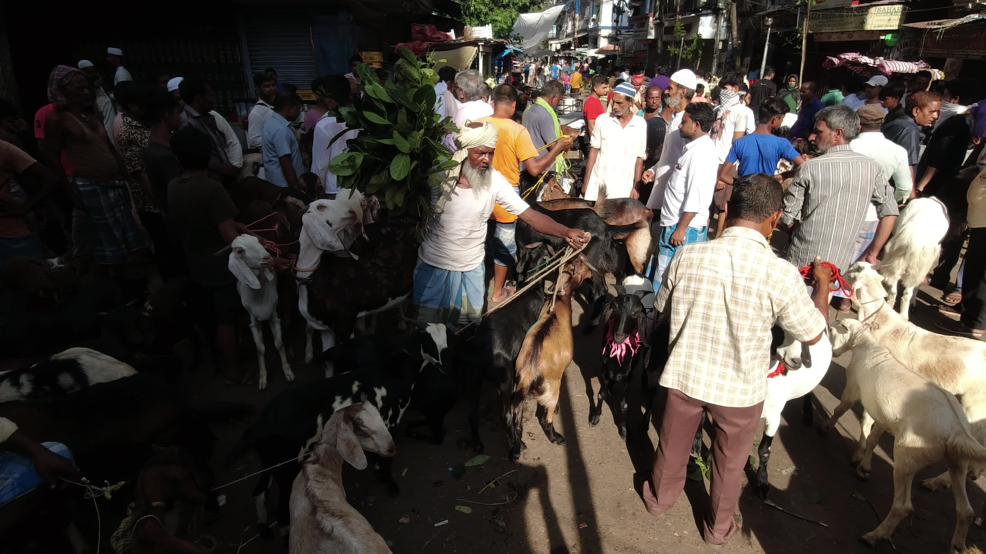 Livestock market ahead of Eid al-Adha in Kolkata