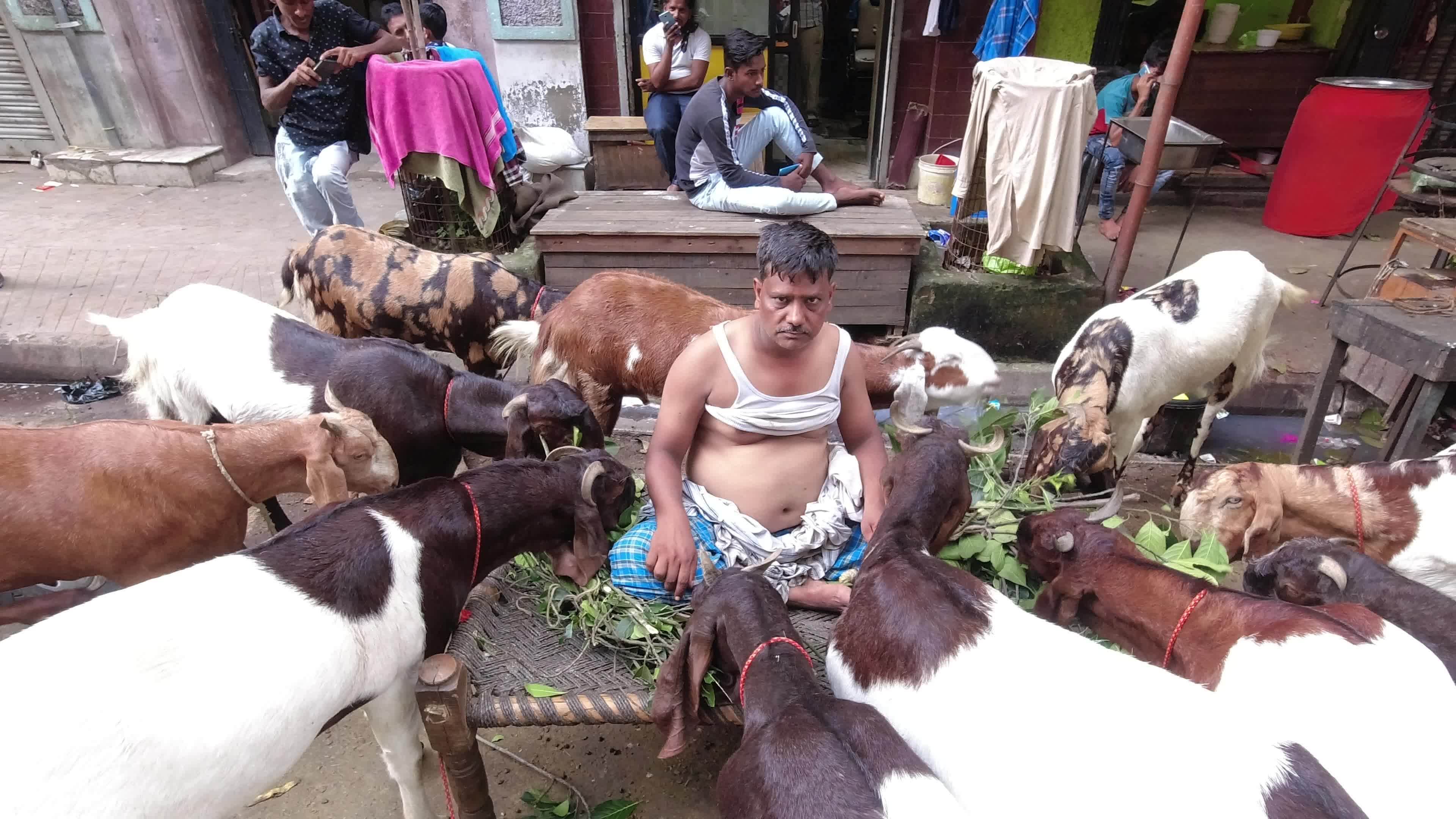 Livestock market ahead of Eid al-Adha in Kolkata