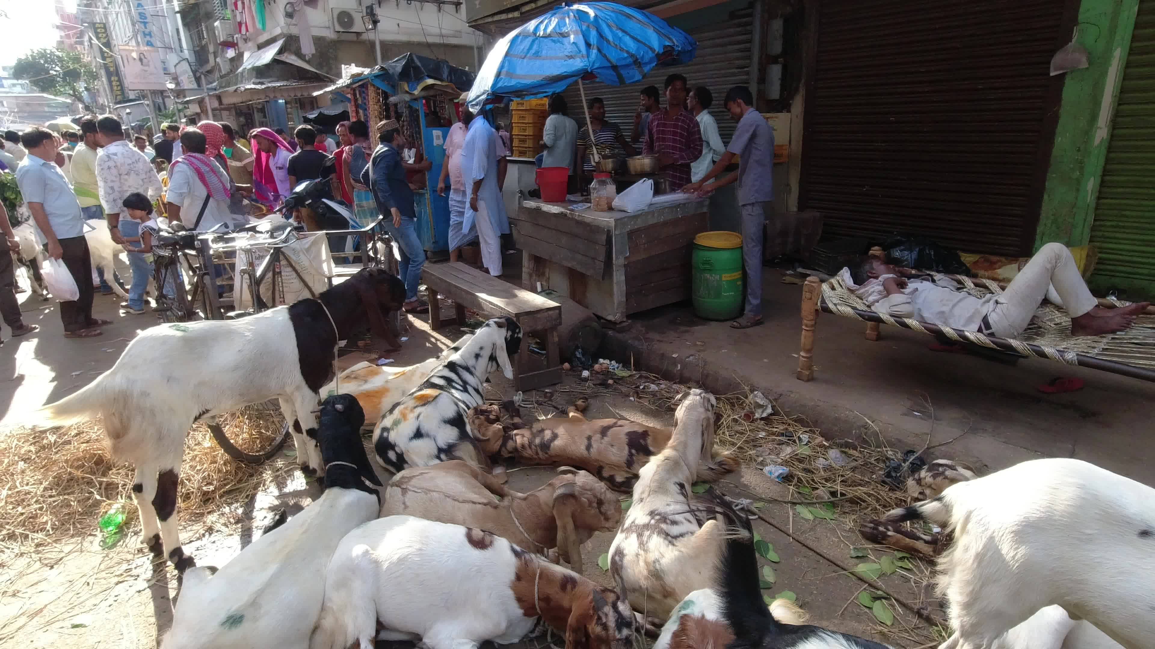 Livestock market ahead of Eid al-Adha in Kolkata