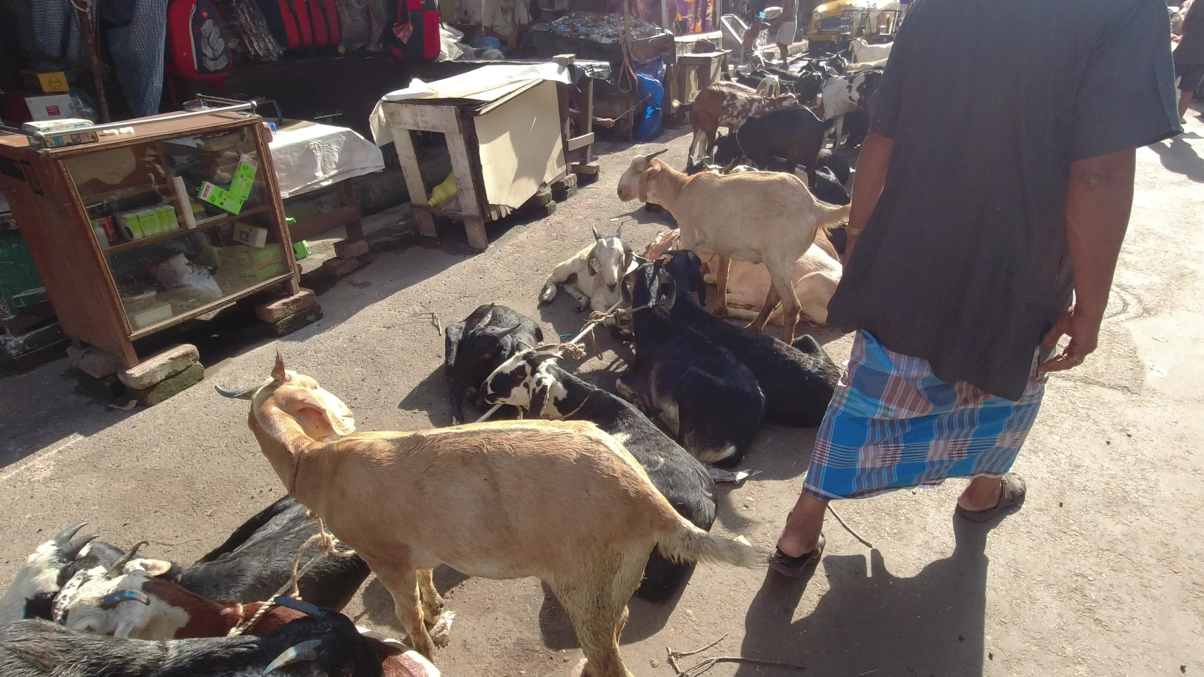 Livestock market ahead of Eid al-Adha in Kolkata
