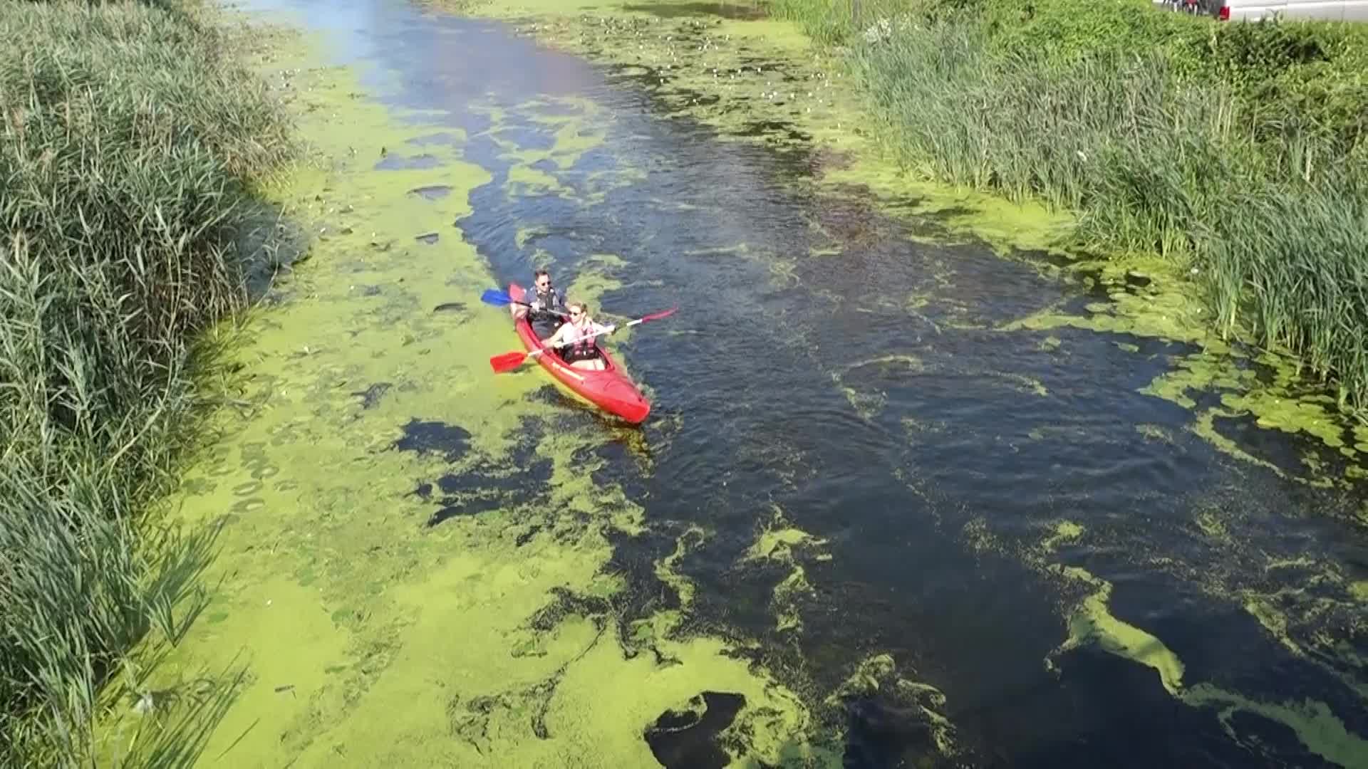 Kayaking in Gdansk