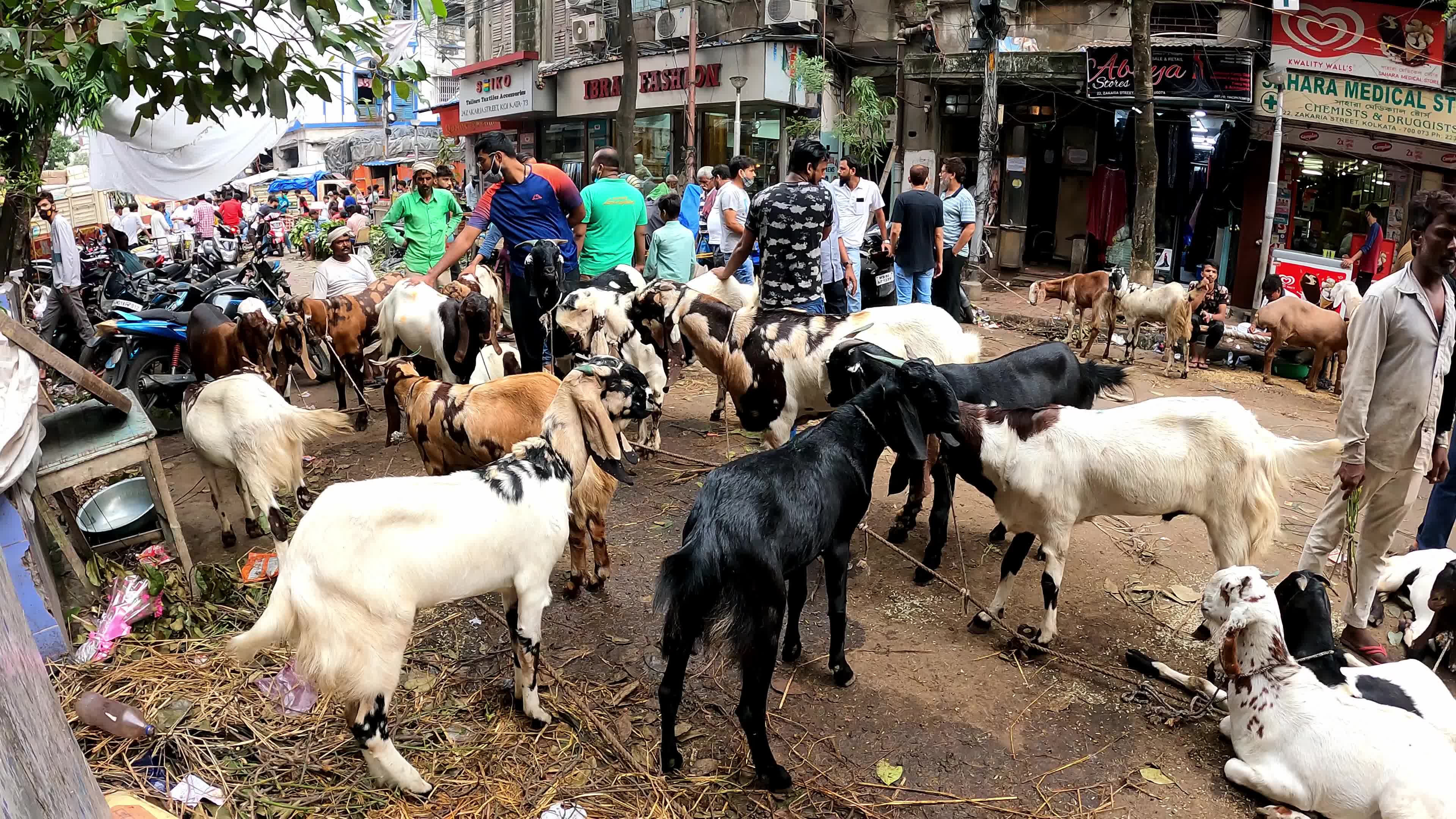 Livestock market ahead Eid al-Adha in Kolkata, India