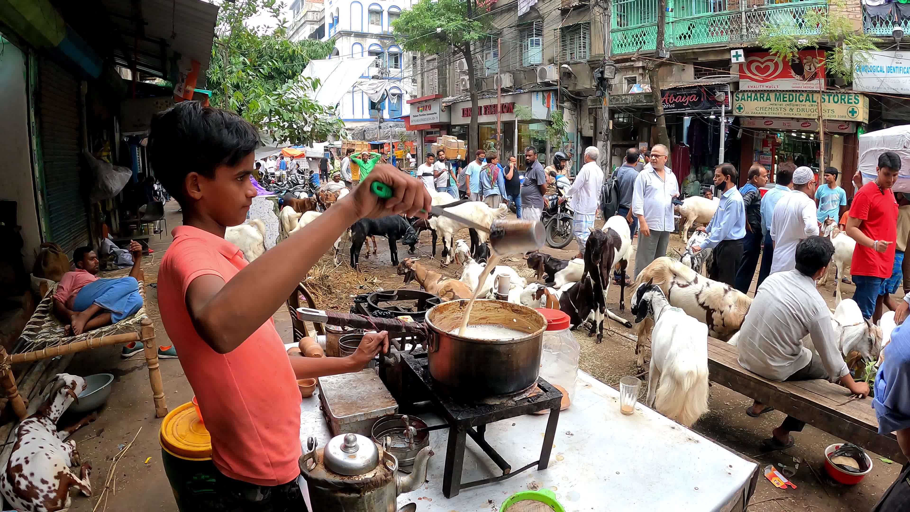 Livestock market ahead Eid al-Adha in Kolkata, India