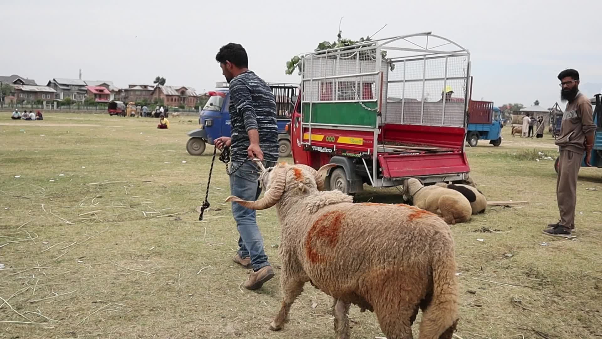 Eid-Al-Adha Preparations in Kashmir