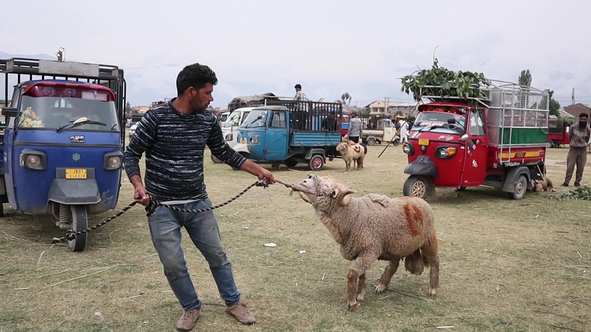 Eid-Al-Adha Preparations in Kashmir