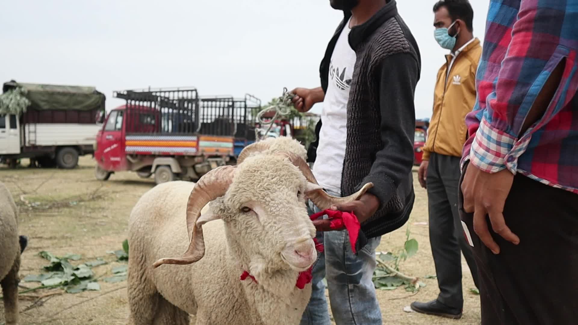 Eid-Al-Adha Preparations in Kashmir