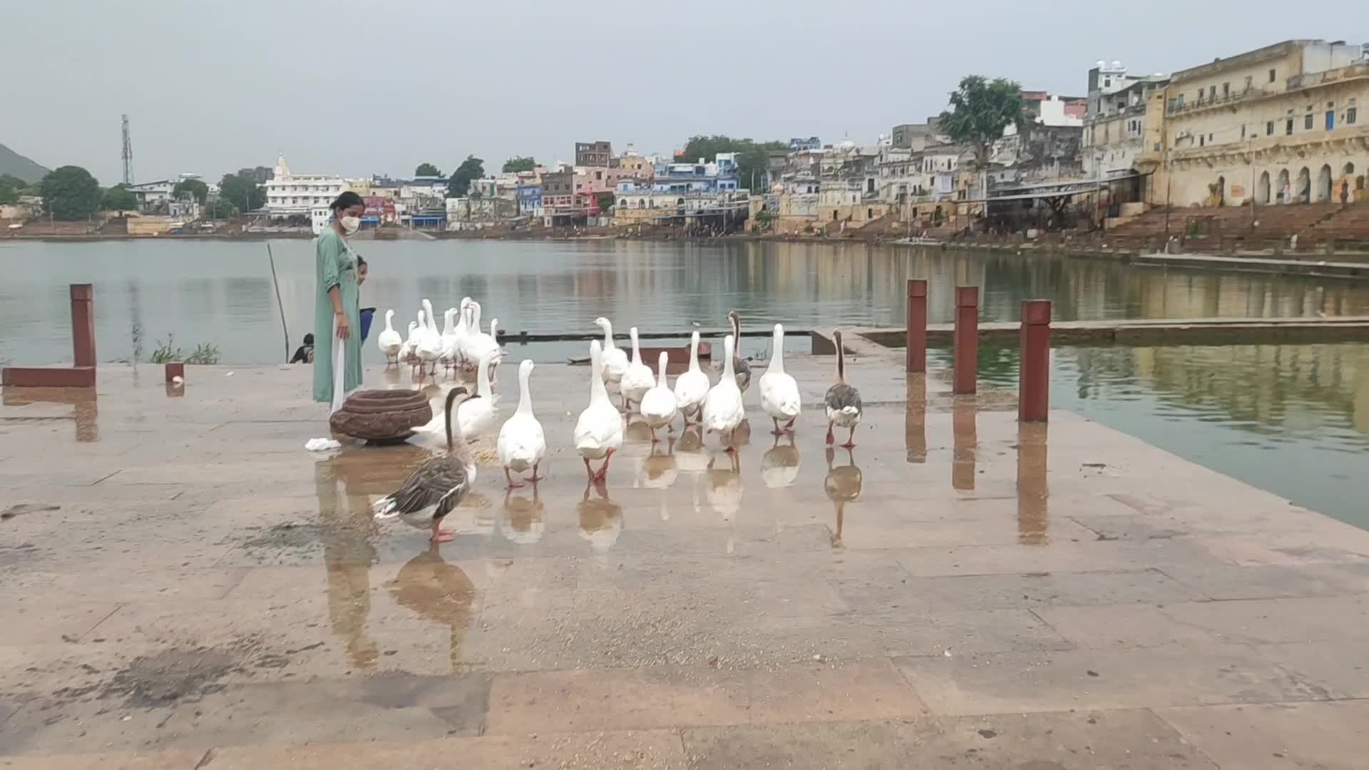 Monsoon rains in Pushkar, India