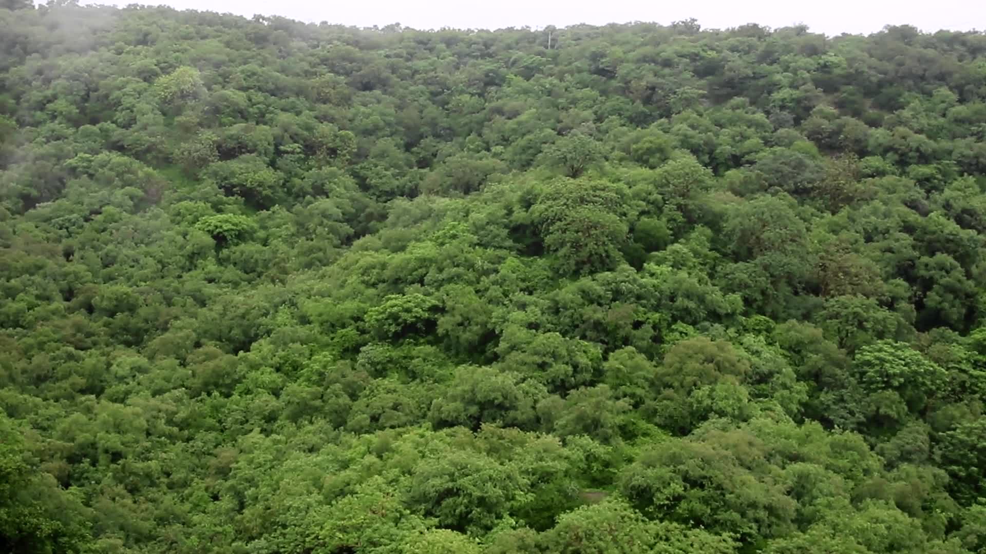 Monsoon Season in Jaipur