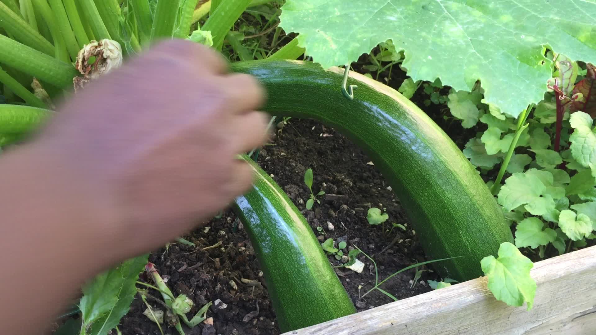 Agriculture in Canada