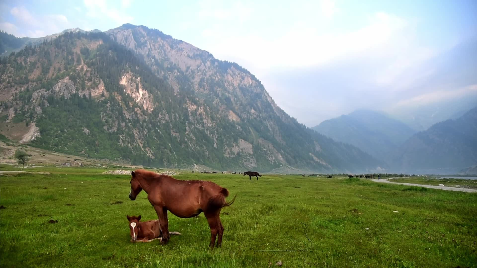 The Gurez Valley in Indian Administered Kashmir