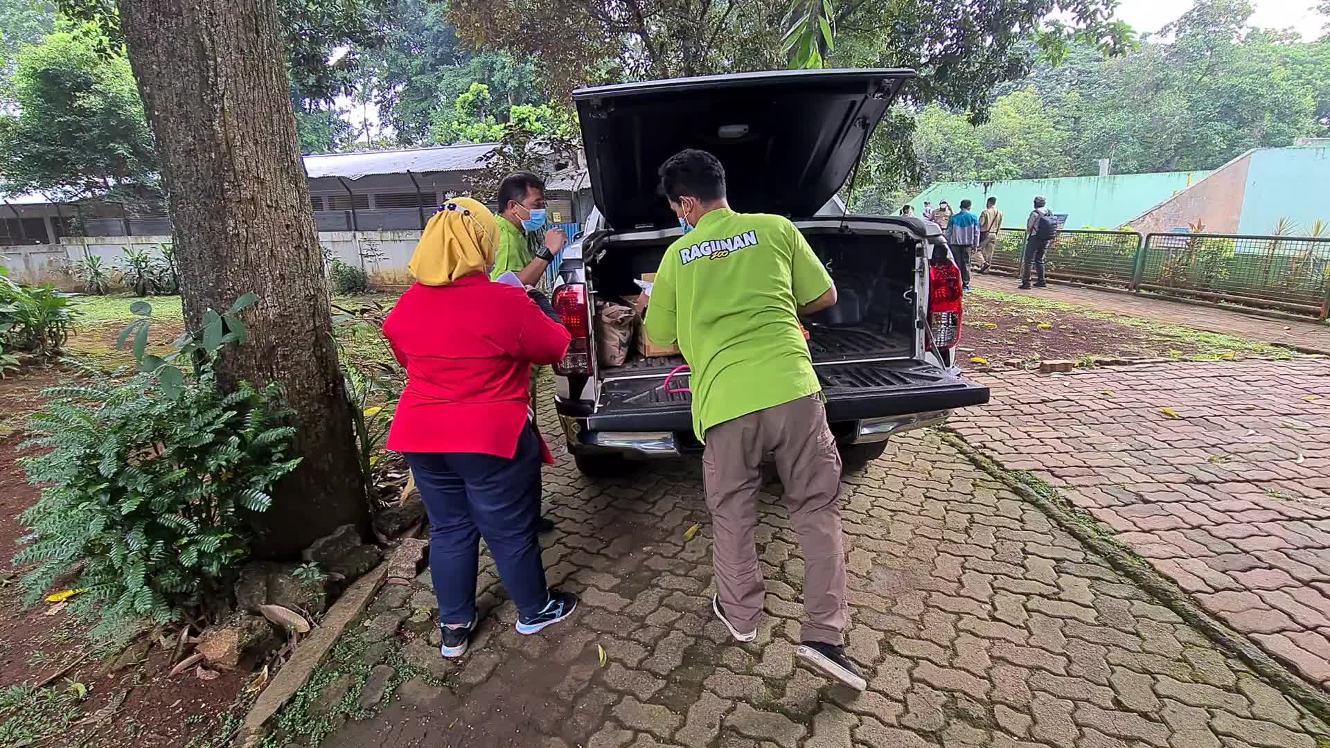 Swab test for two Sumatran tigers positive for Covid-19