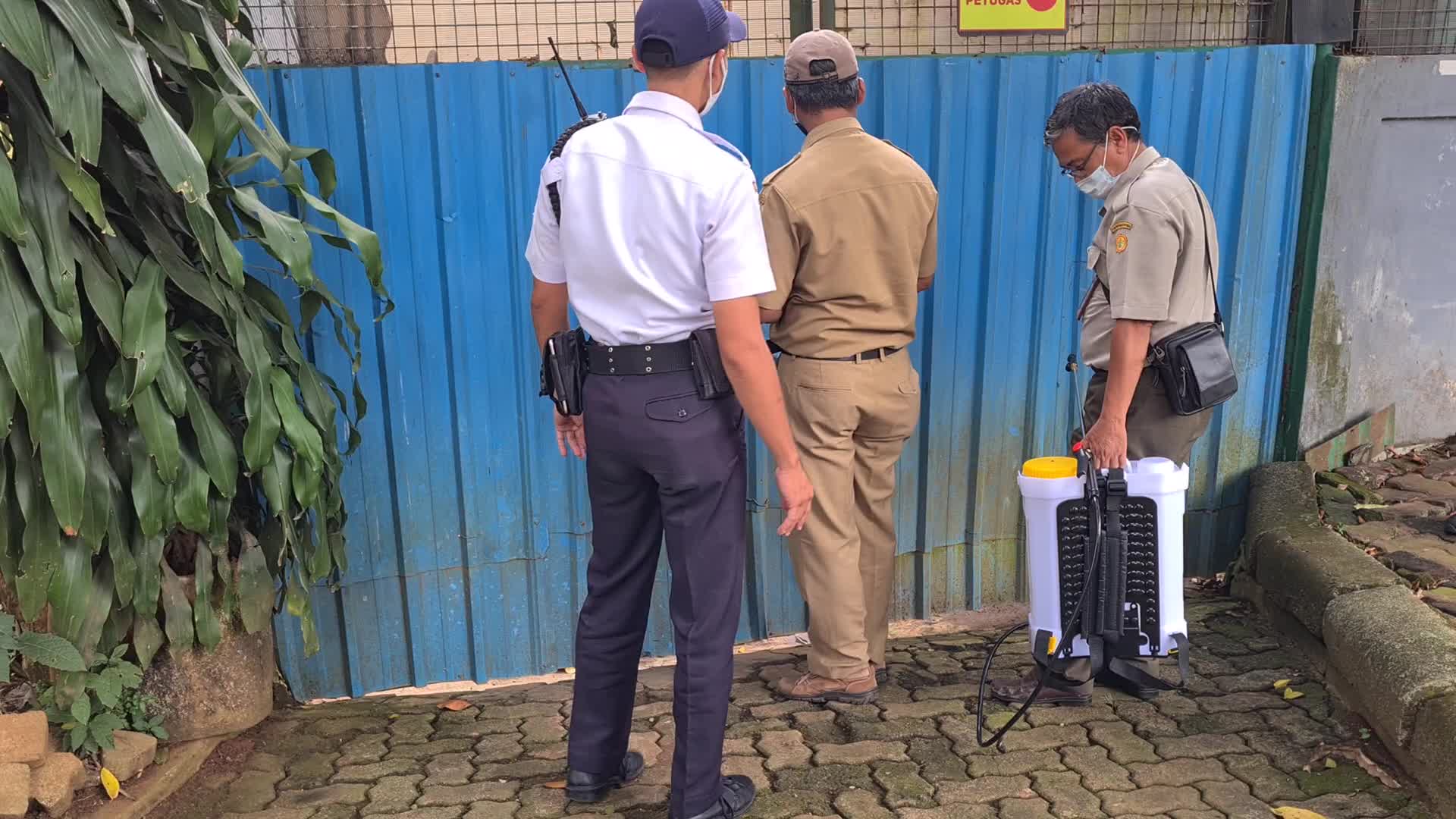 Swab test for two Sumatran tigers positive for Covid-19