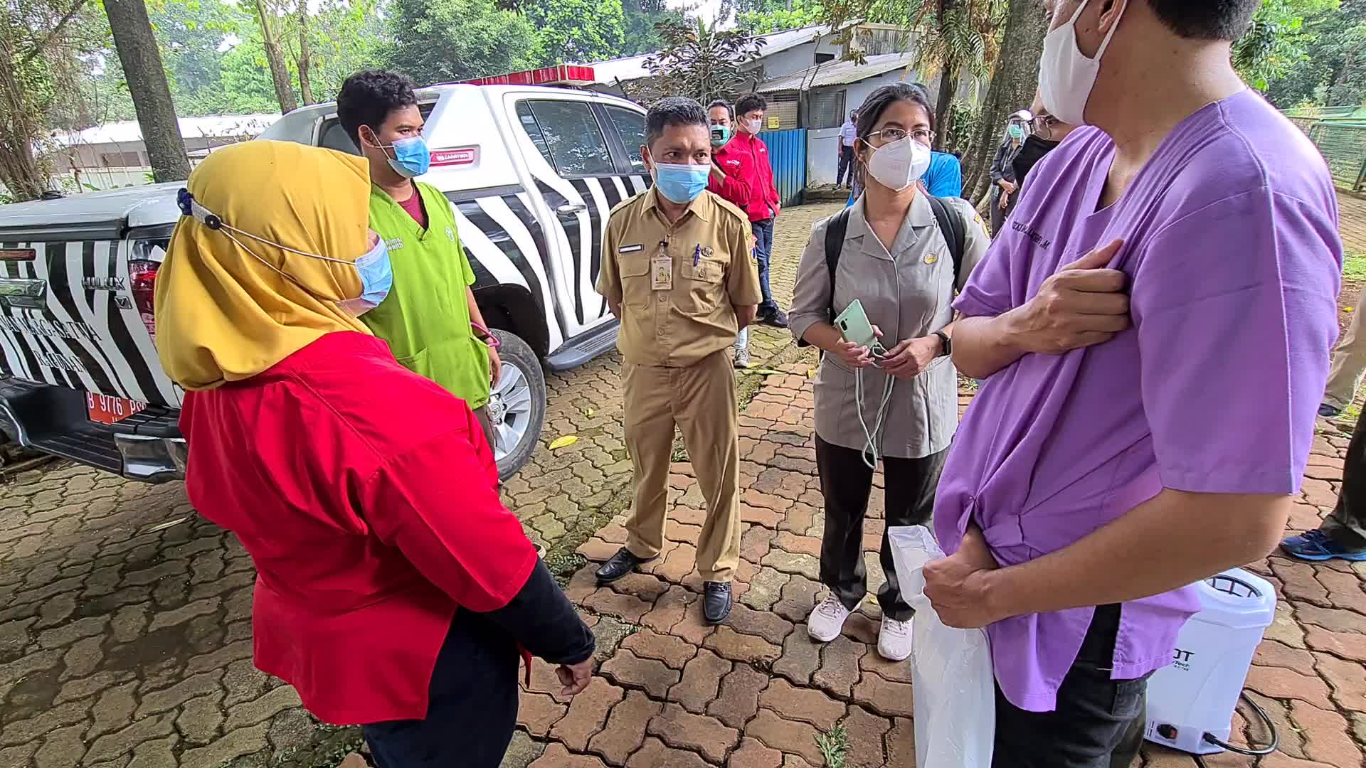 Swab test for two Sumatran tigers positive for Covid-19
