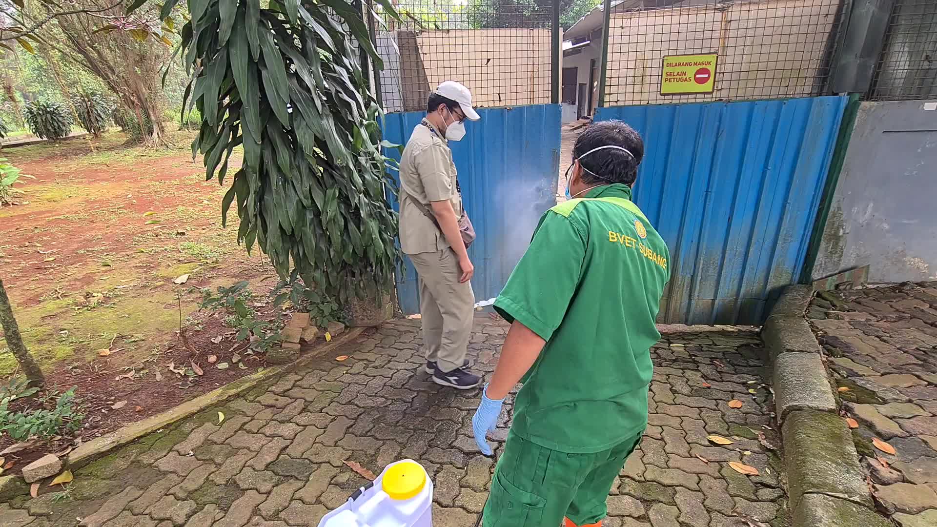 Swab test for two Sumatran tigers positive for Covid-19