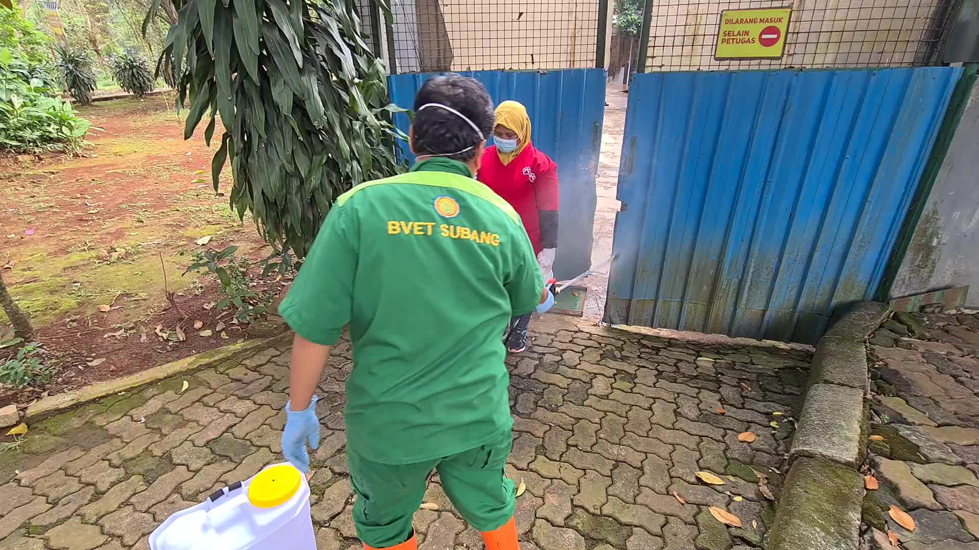 Swab test for two Sumatran tigers positive for Covid-19