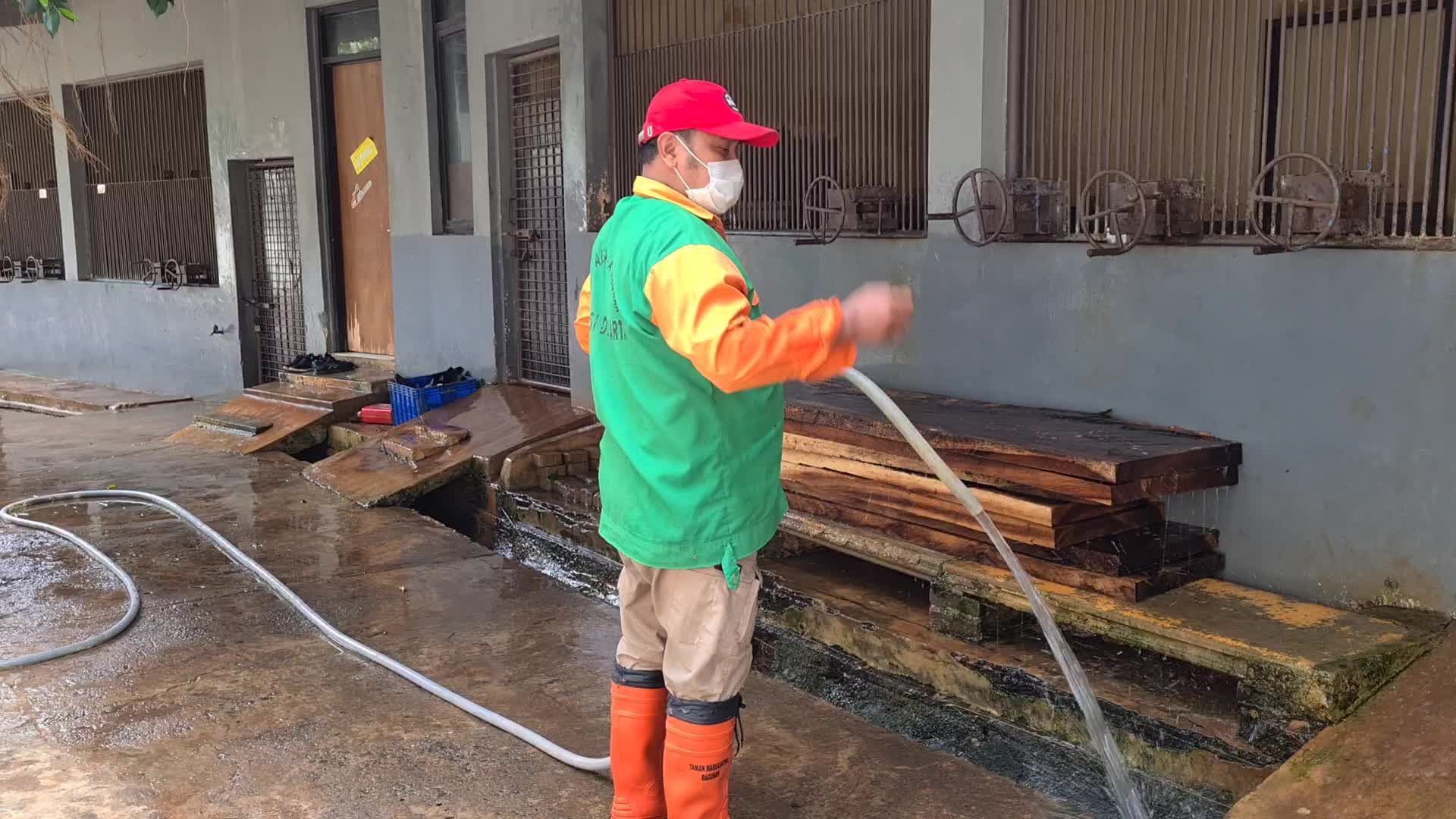 Swab test for two Sumatran tigers positive for Covid-19