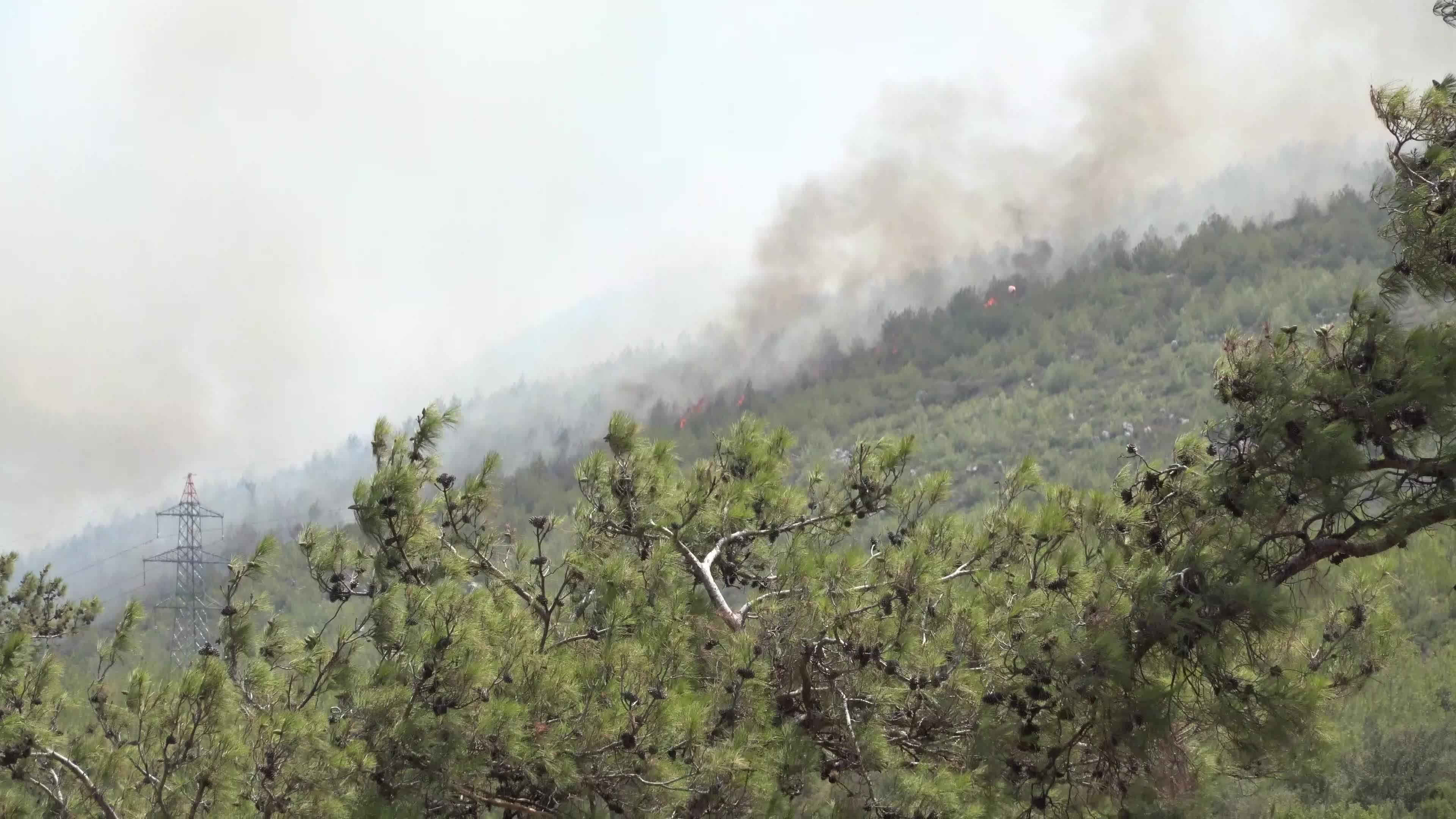 Turkey strives to put out wildfires