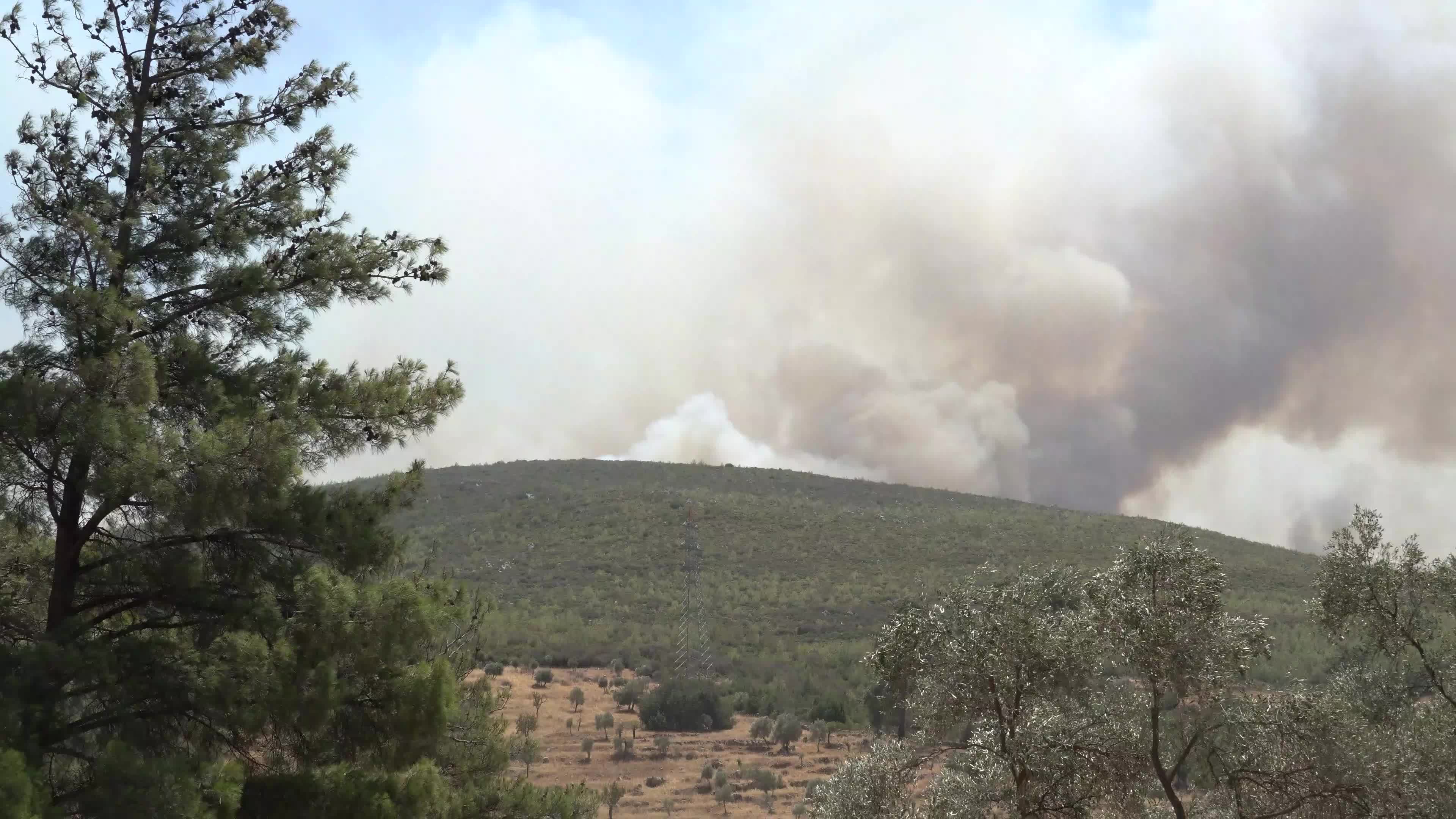 Turkey strives to put out wildfires