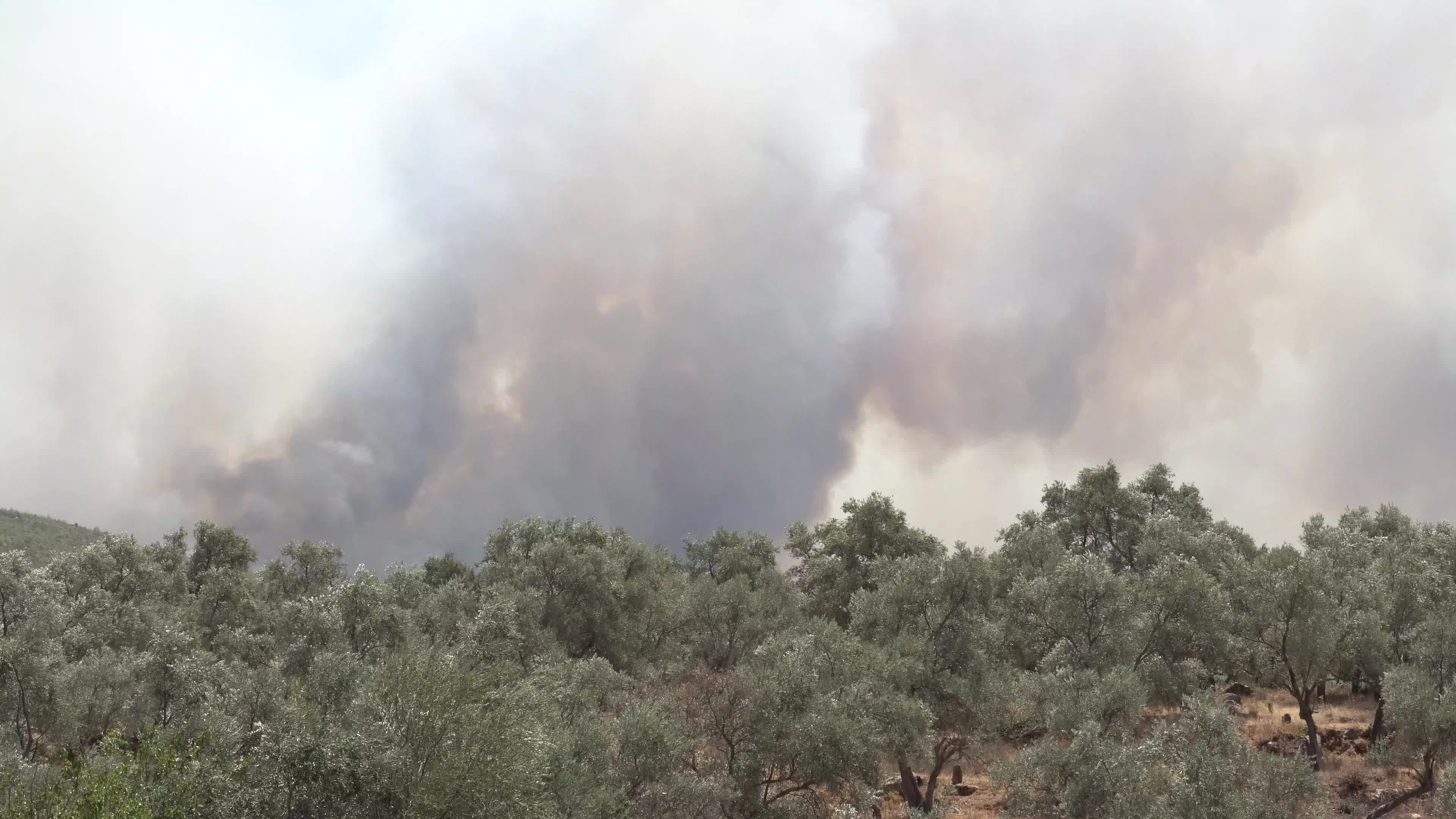 Turkey strives to put out wildfires