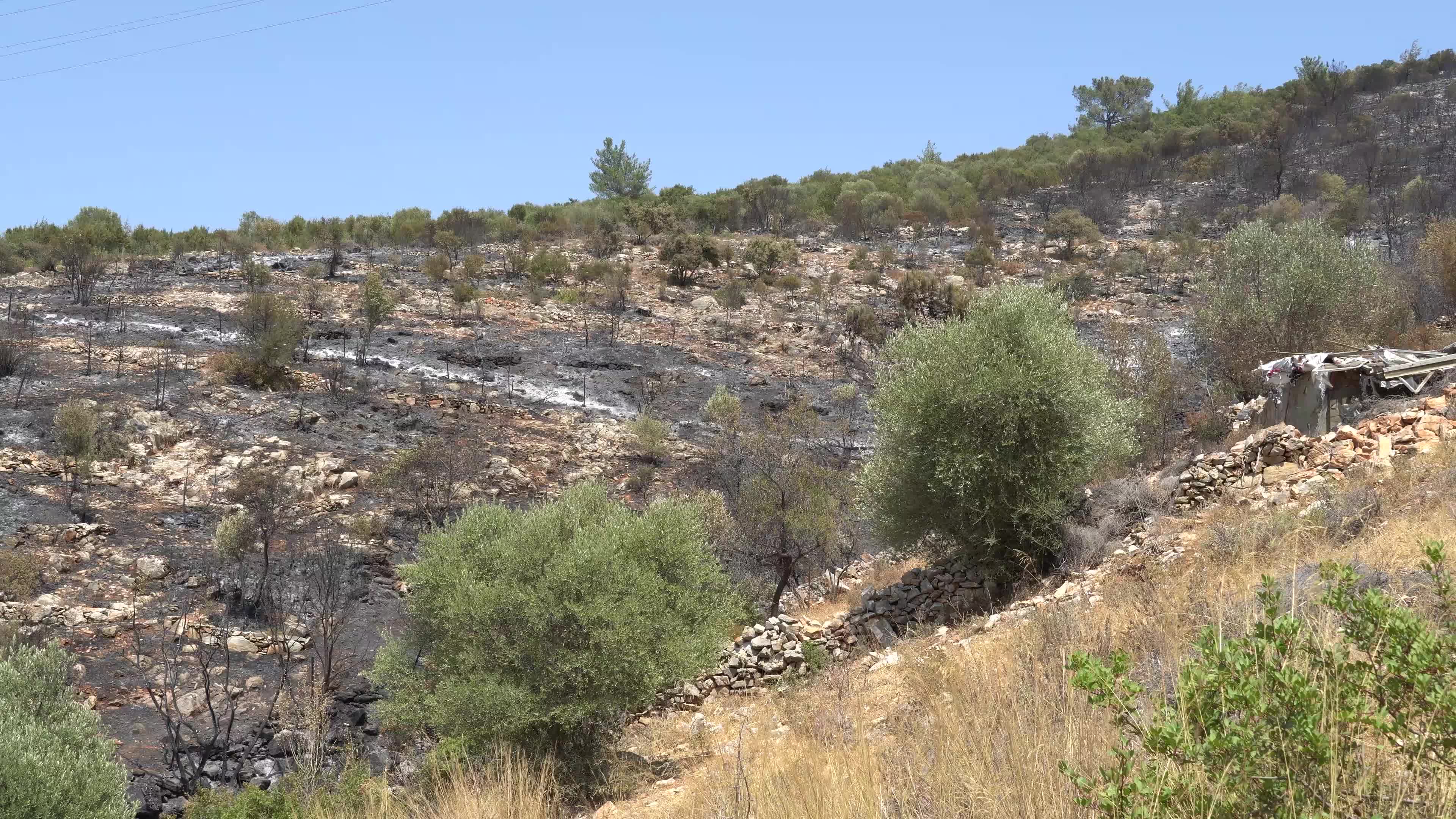 Turkey strives to put out wildfires