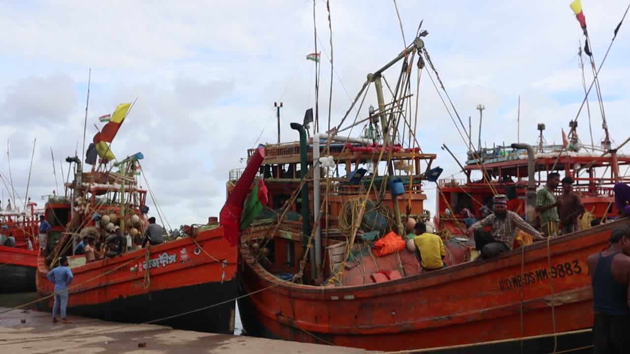 Hilsa fishing during the monsoon season in India