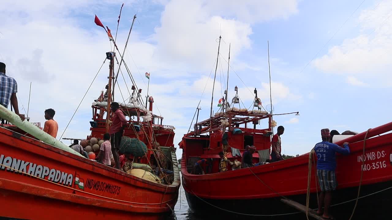 Hilsa fishing during the monsoon season in India