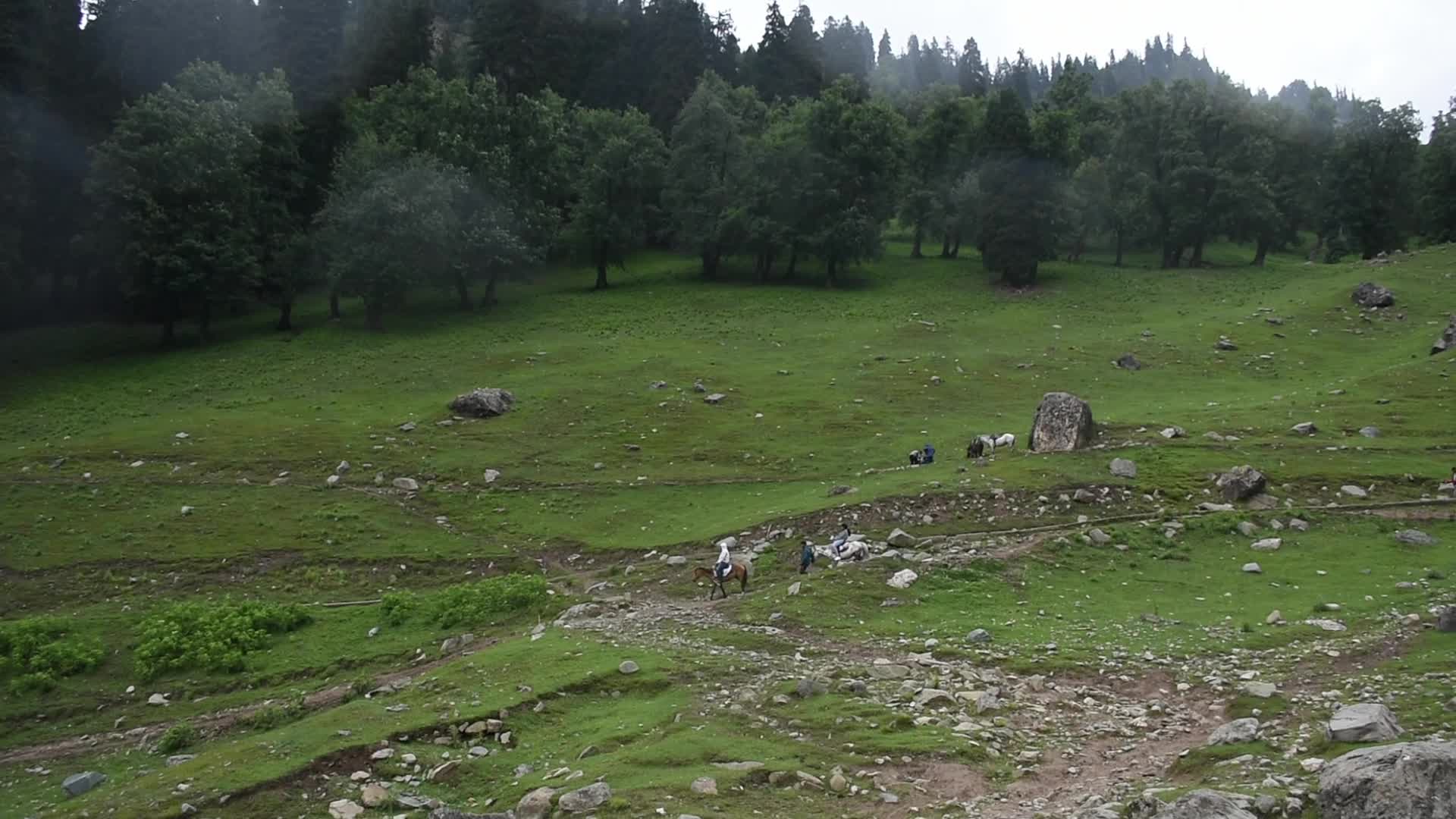 Tourism in Kashmir