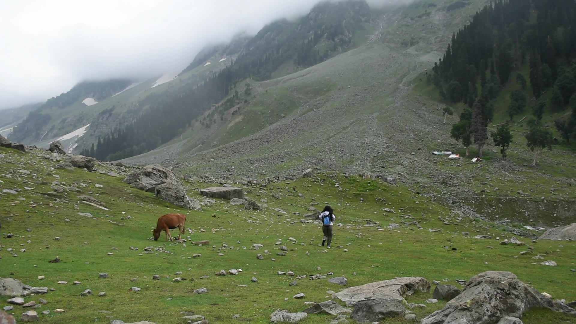 Tourism in Kashmir
