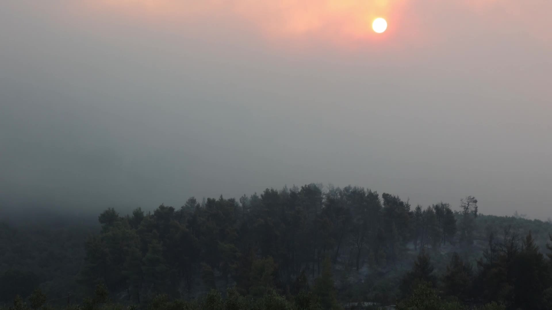 Massive forest fire in Evia, Greece