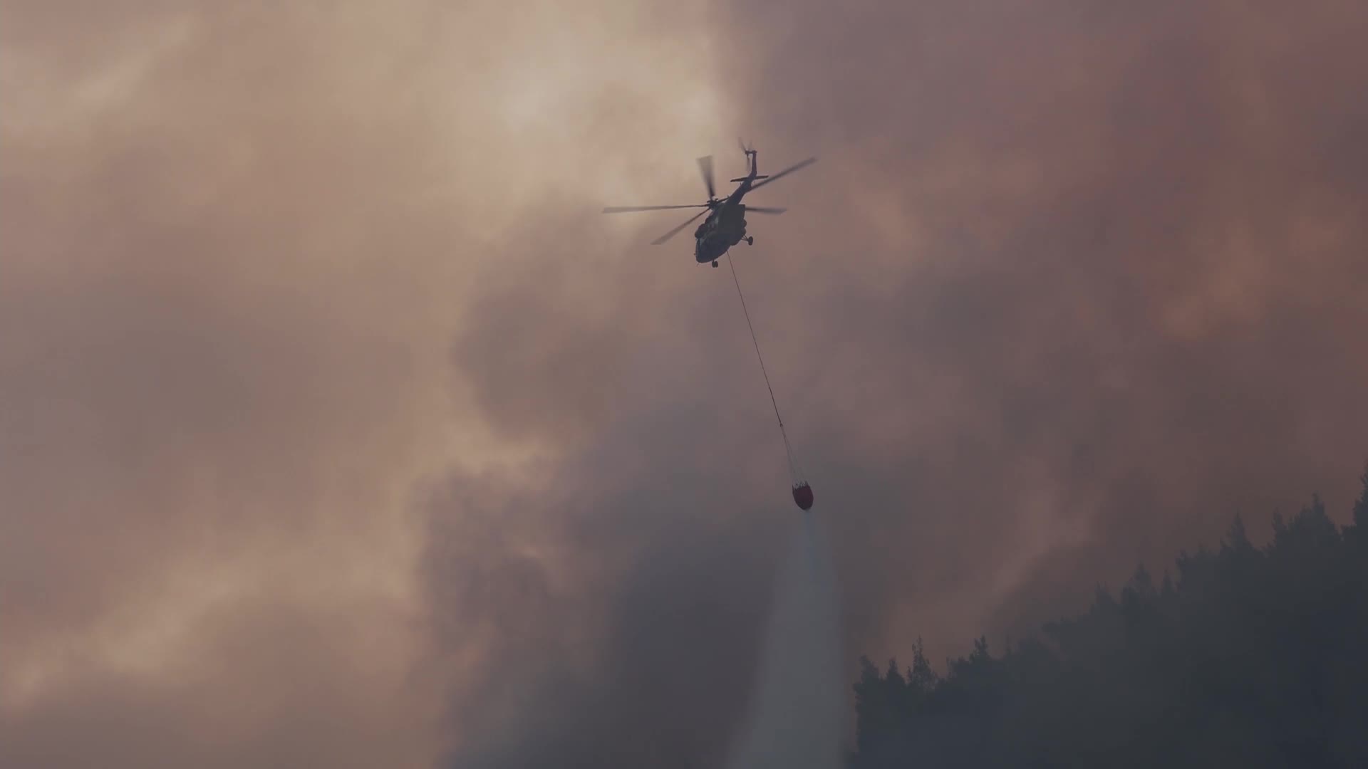 Massive forest fire in Evia, Greece