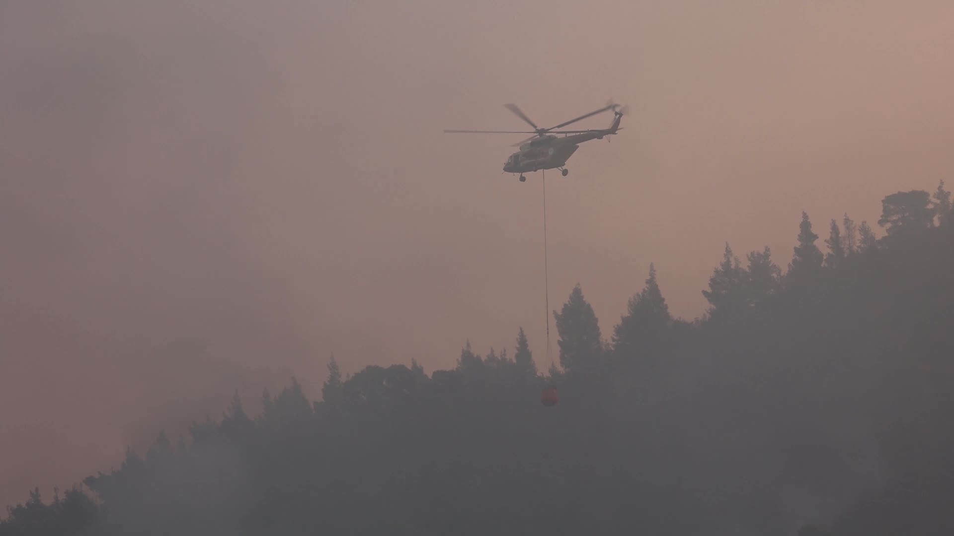 Massive forest fire in Evia, Greece