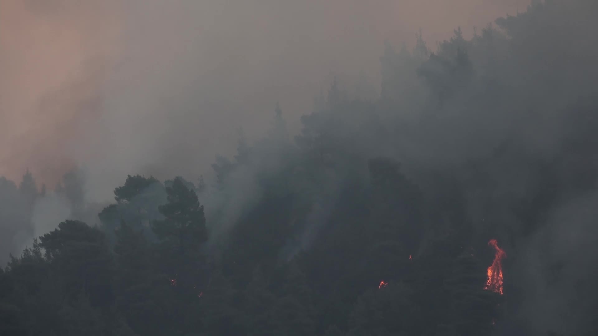 Massive forest fire in Evia, Greece