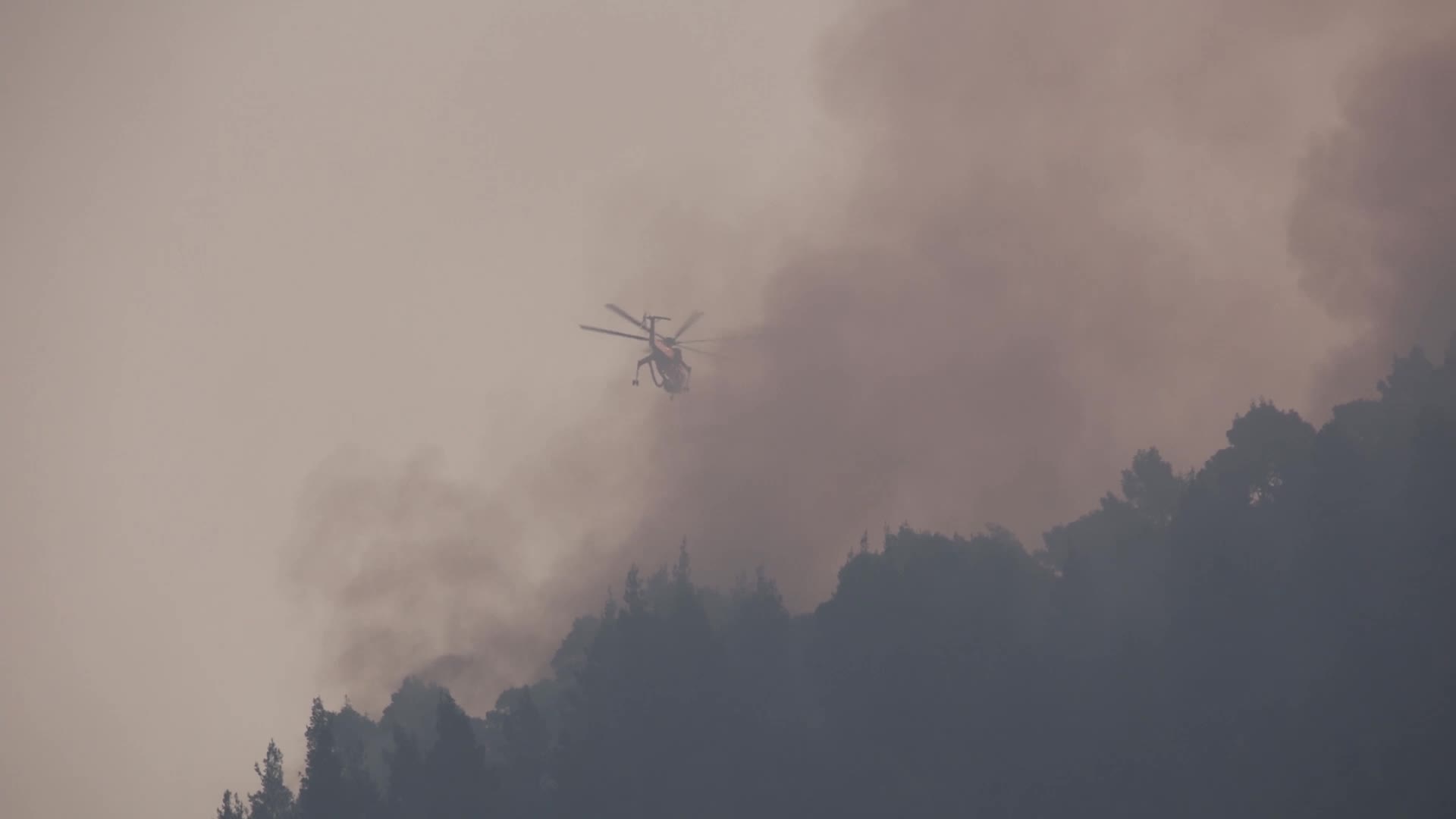 Massive forest fire in Evia, Greece