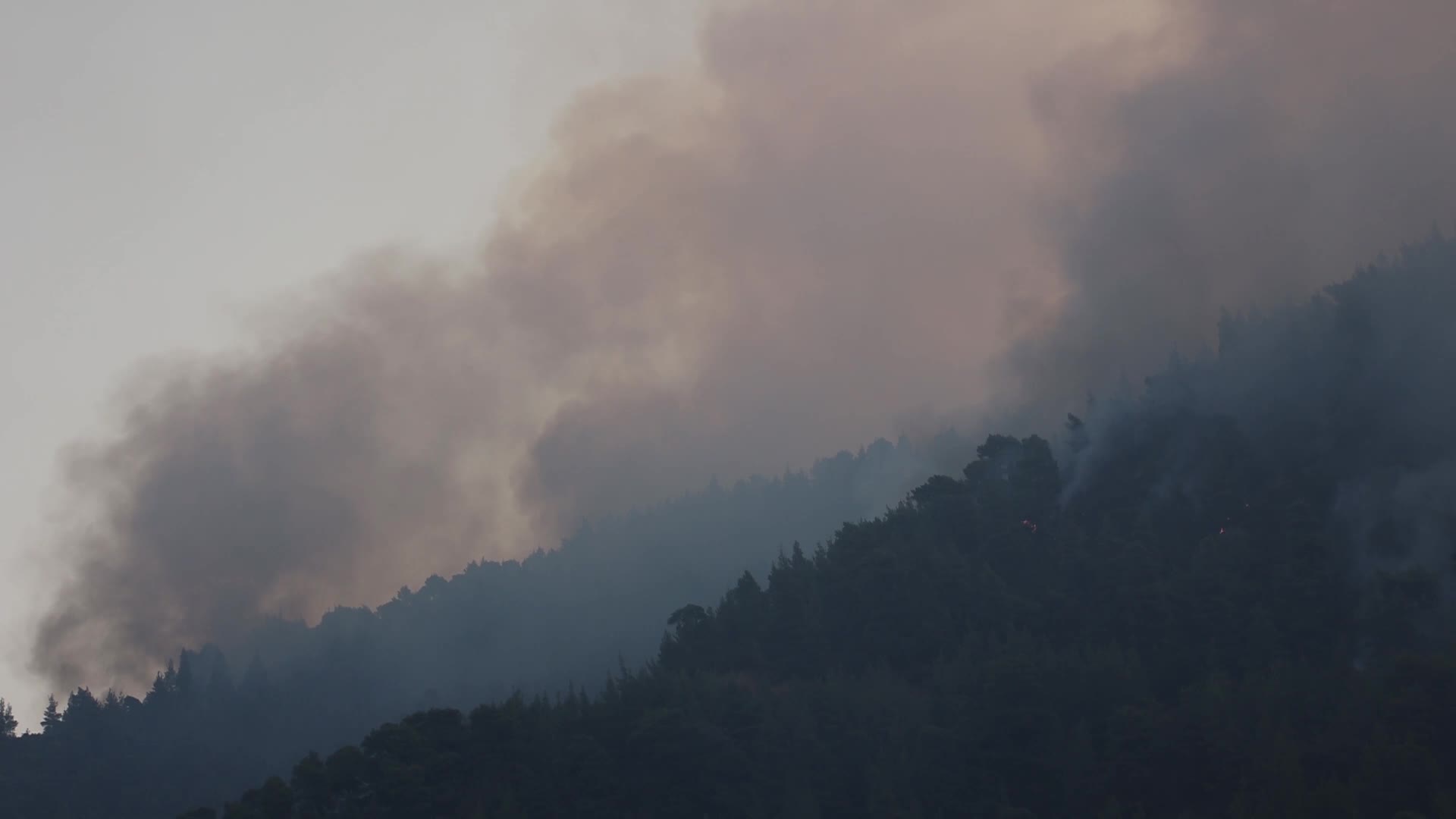 Massive forest fire in Evia, Greece